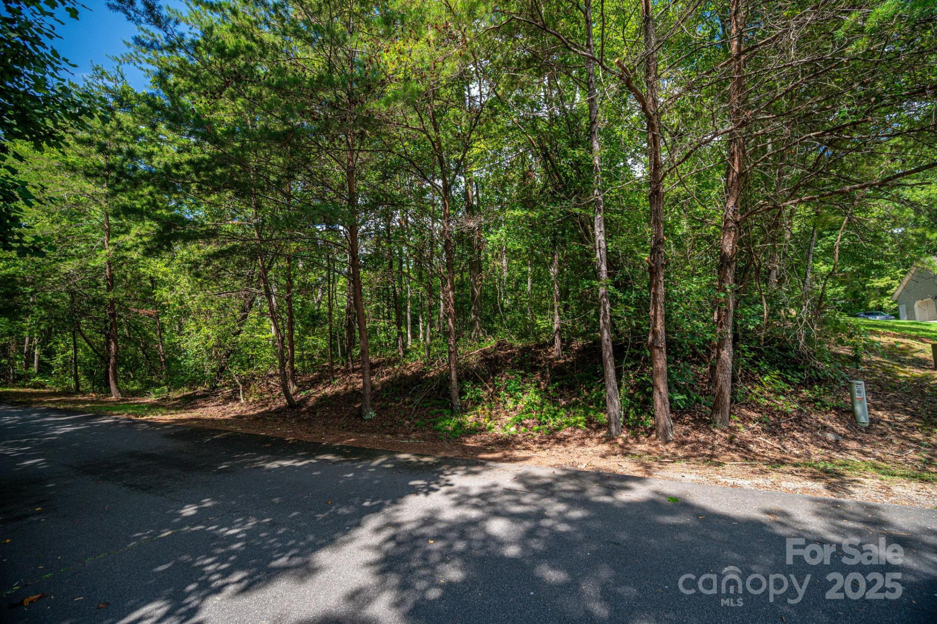 Lot 26 Line Drive - Photo 6