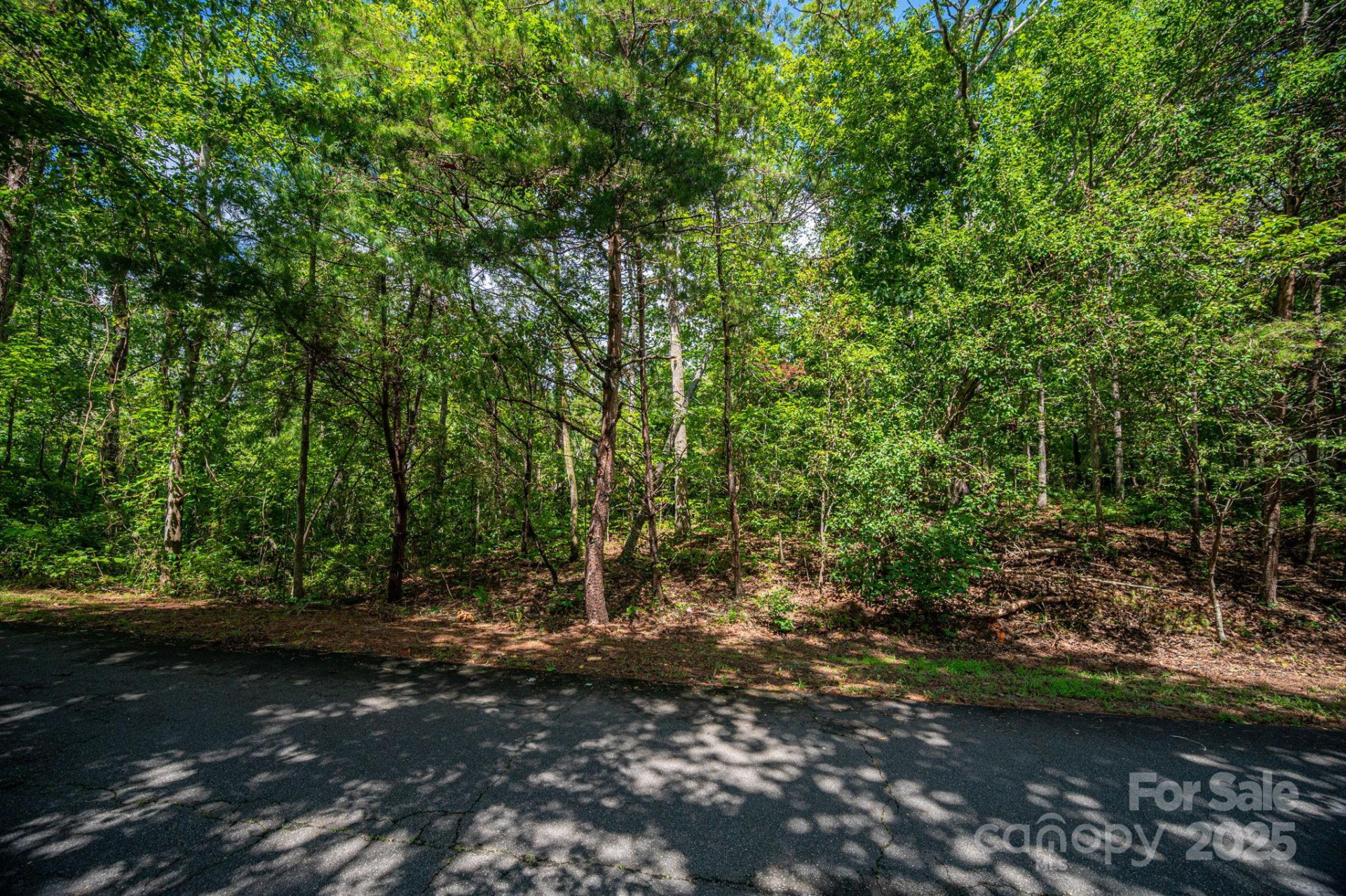 Lot 26 Line Drive - Photo 7