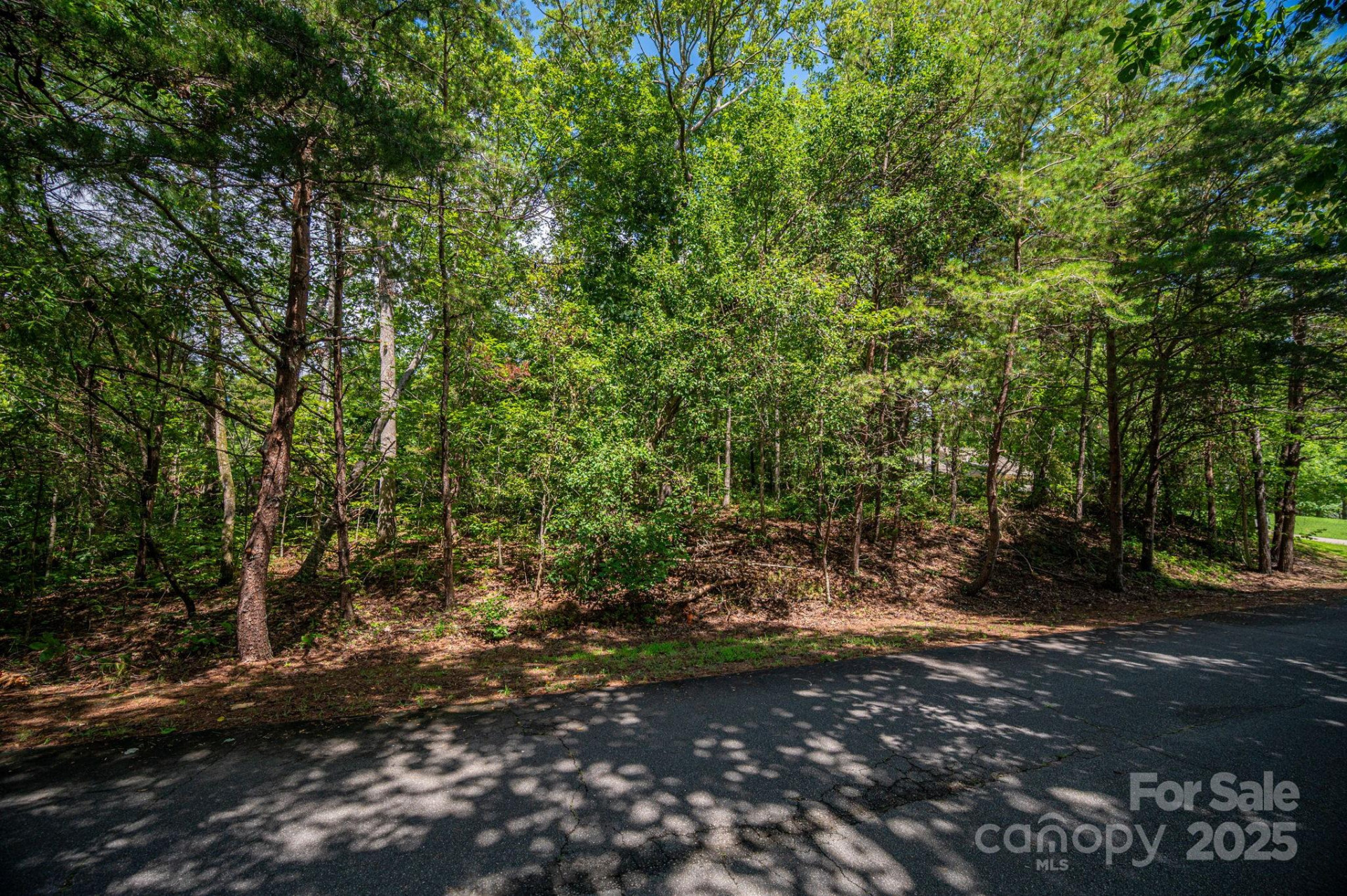 Lot 26 Line Drive - Photo 8