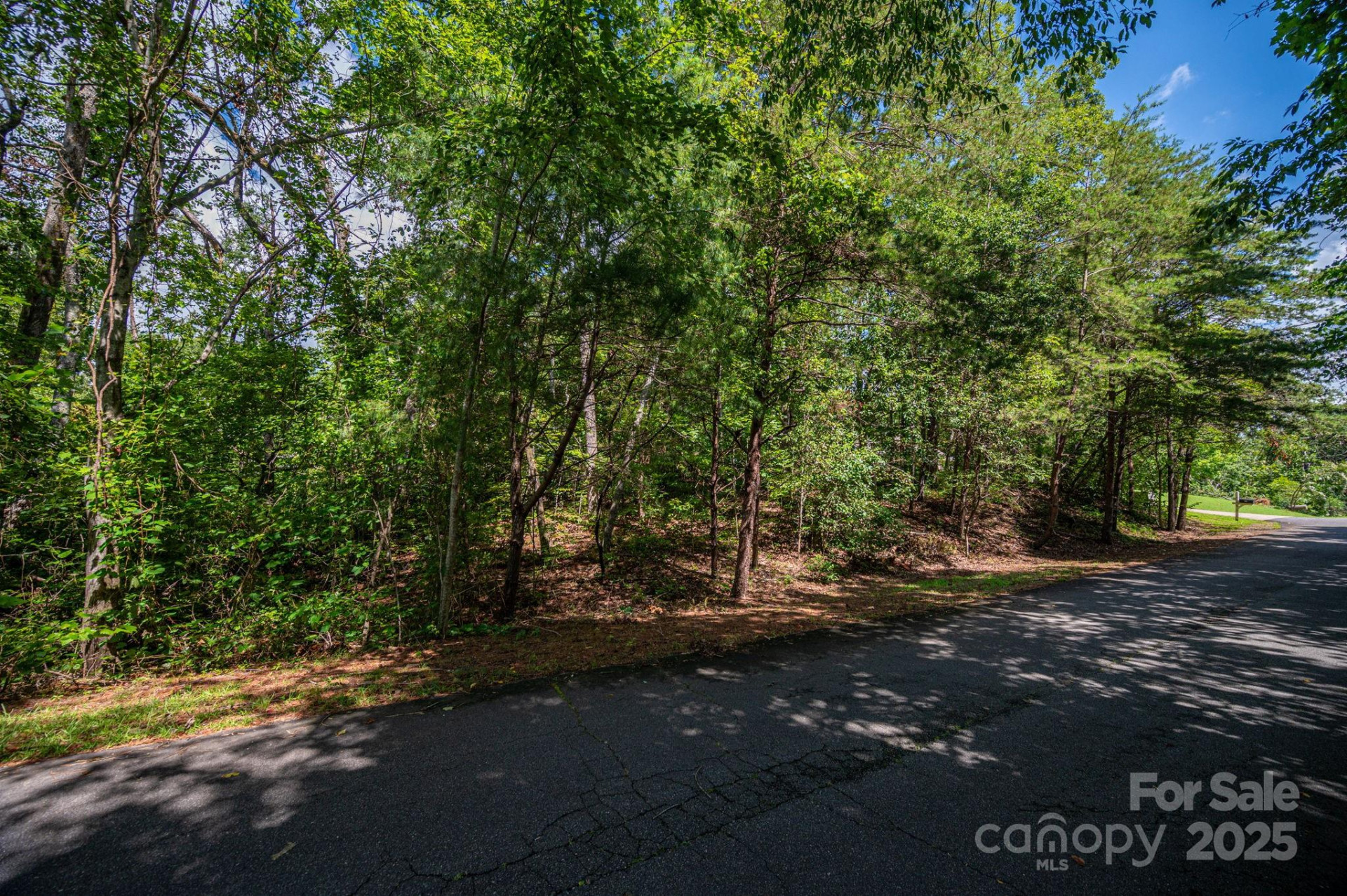 Lot 26 Line Drive - Photo 9