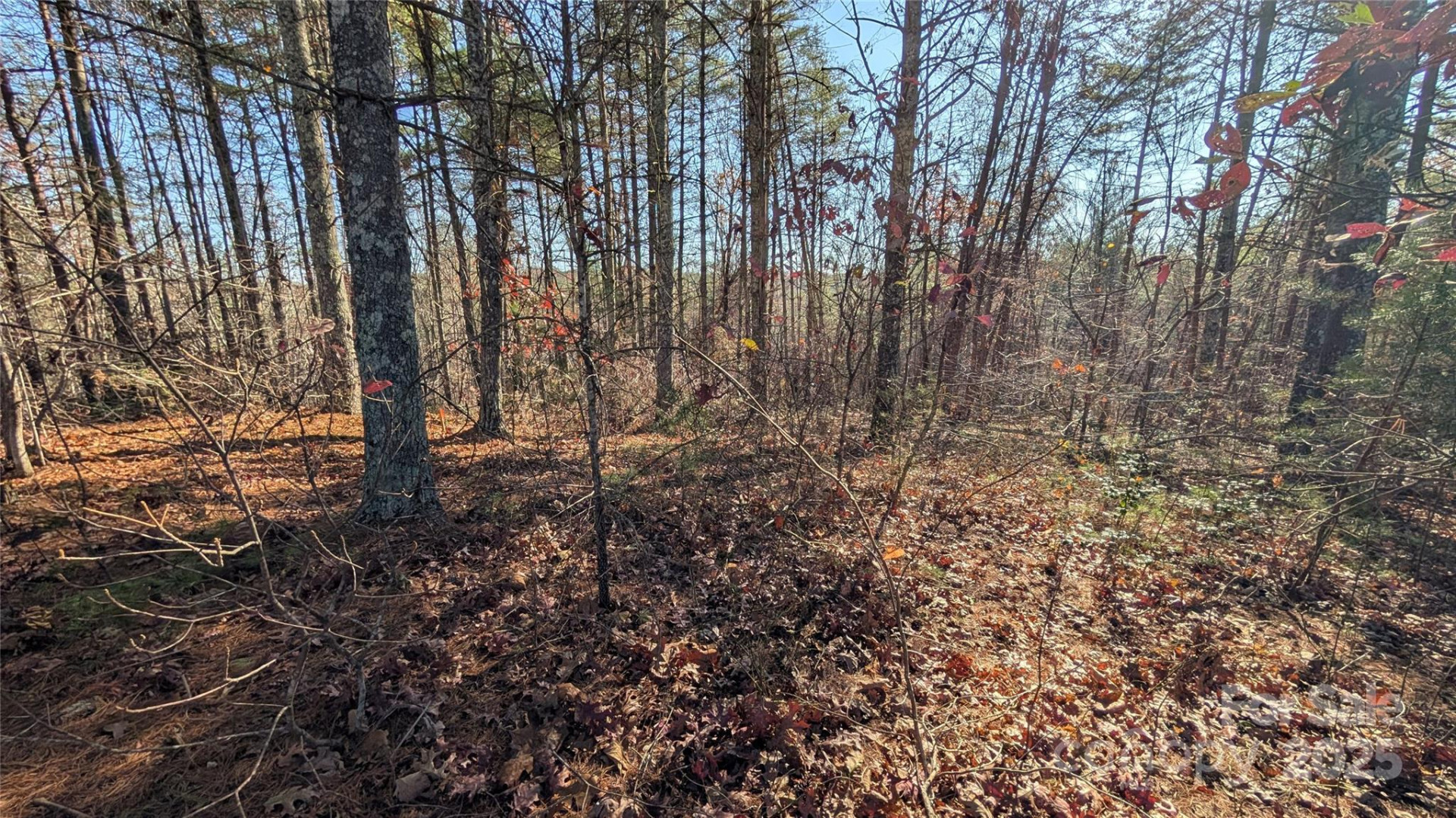 1111 Table View Drive - Photo 3