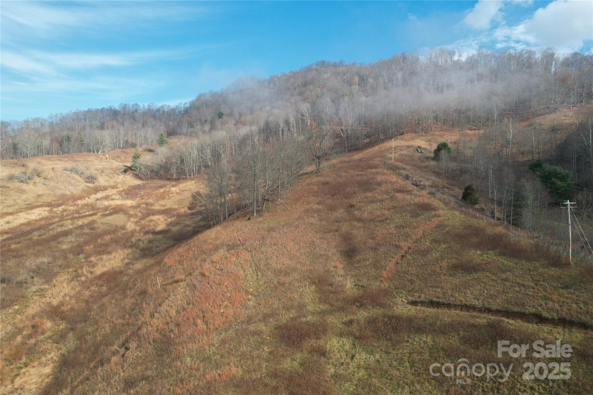 385 Fork Mountain Road - Photo 2