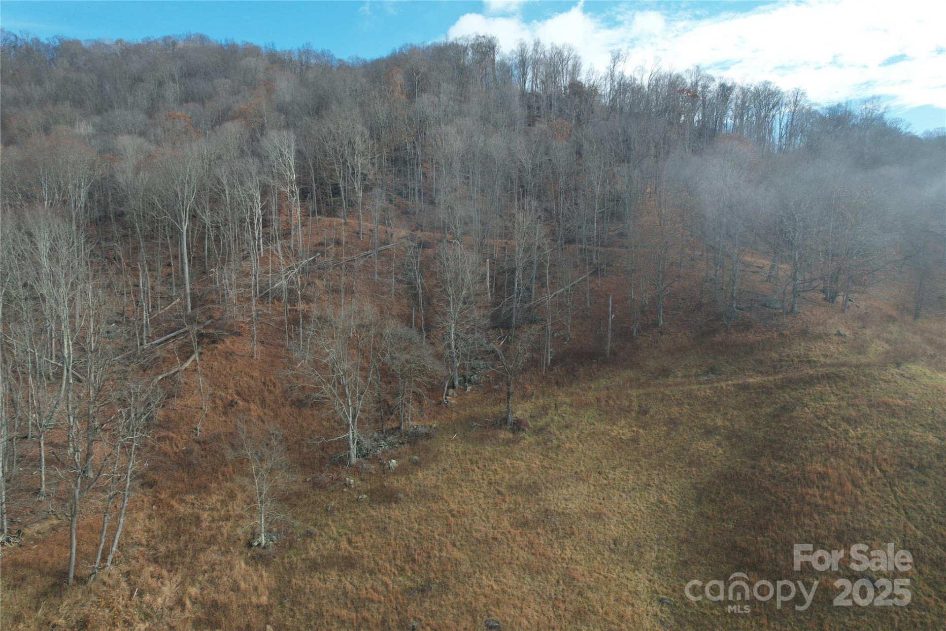 385 Fork Mountain Road - Photo 11