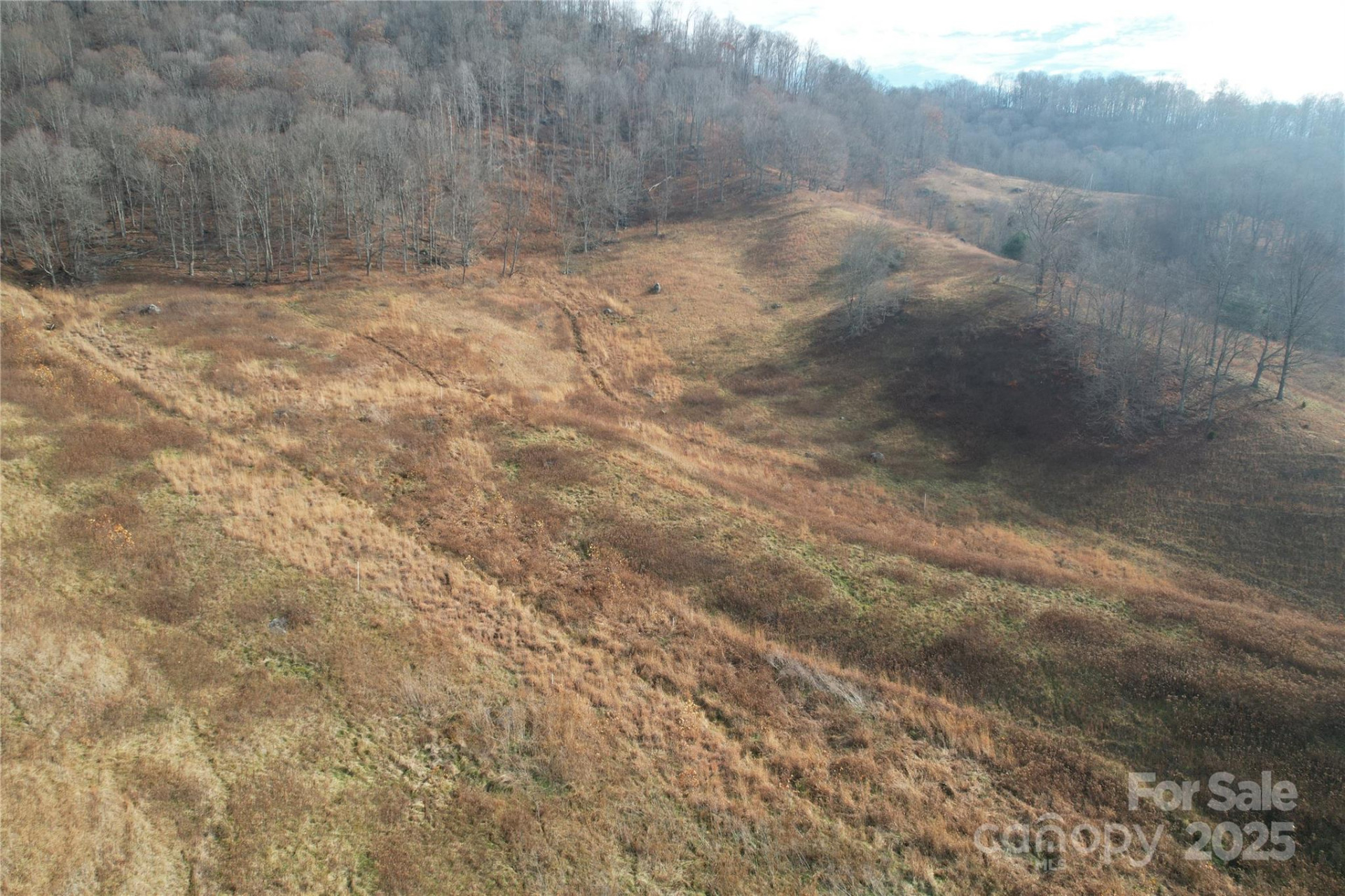 385 Fork Mountain Road - Photo 13