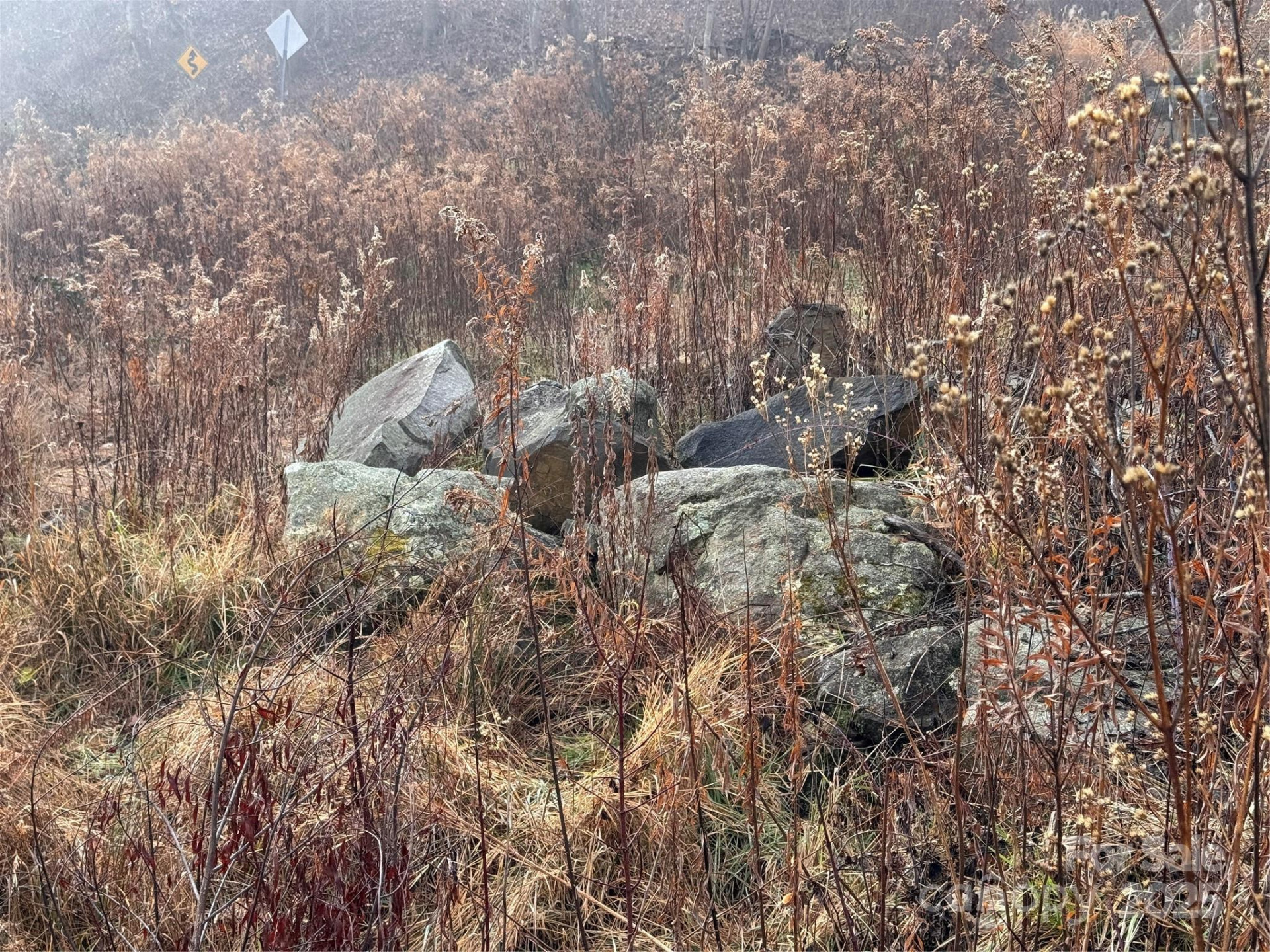 385 Fork Mountain Road - Photo 16