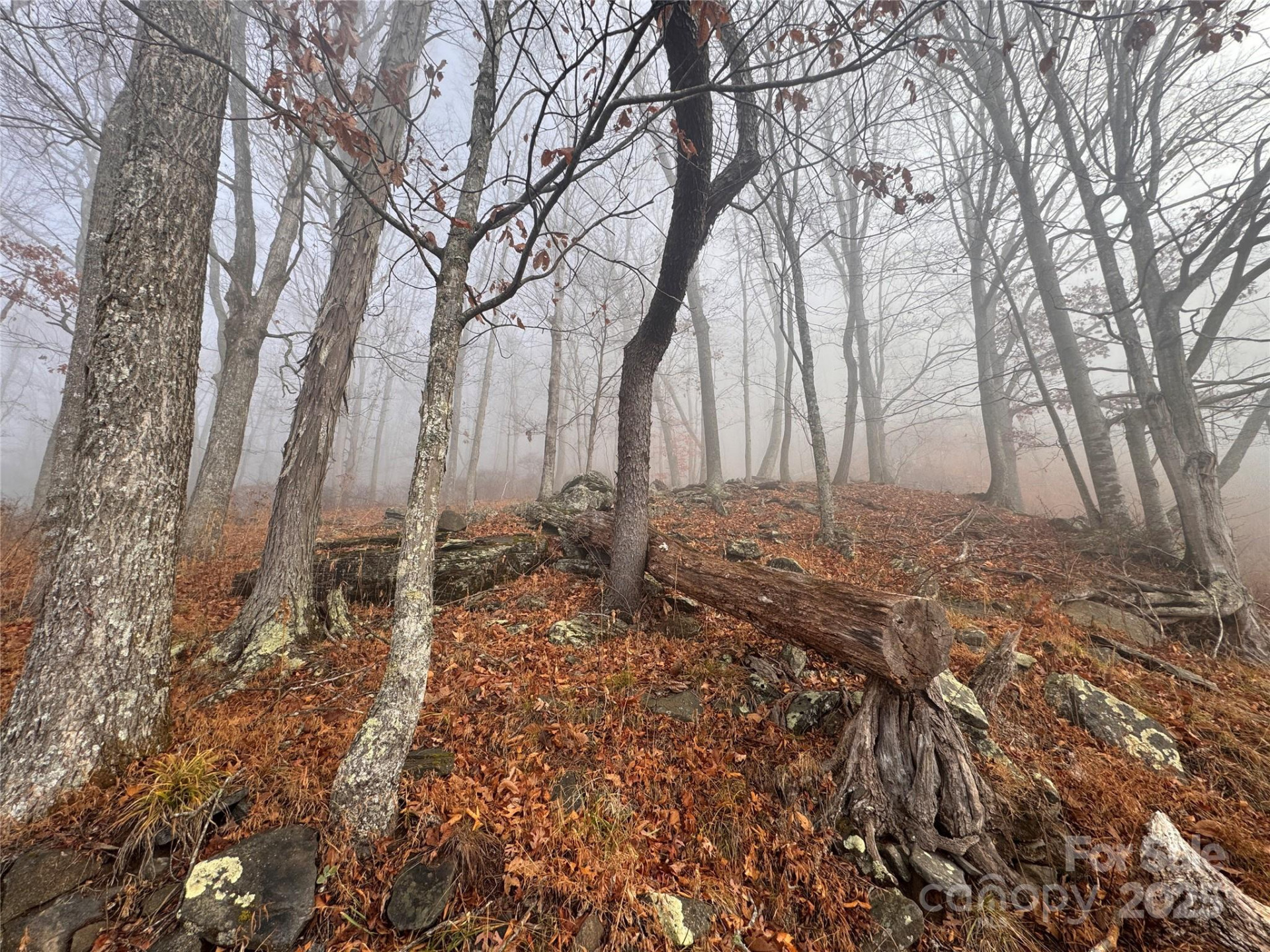 385 Fork Mountain Road - Photo 20