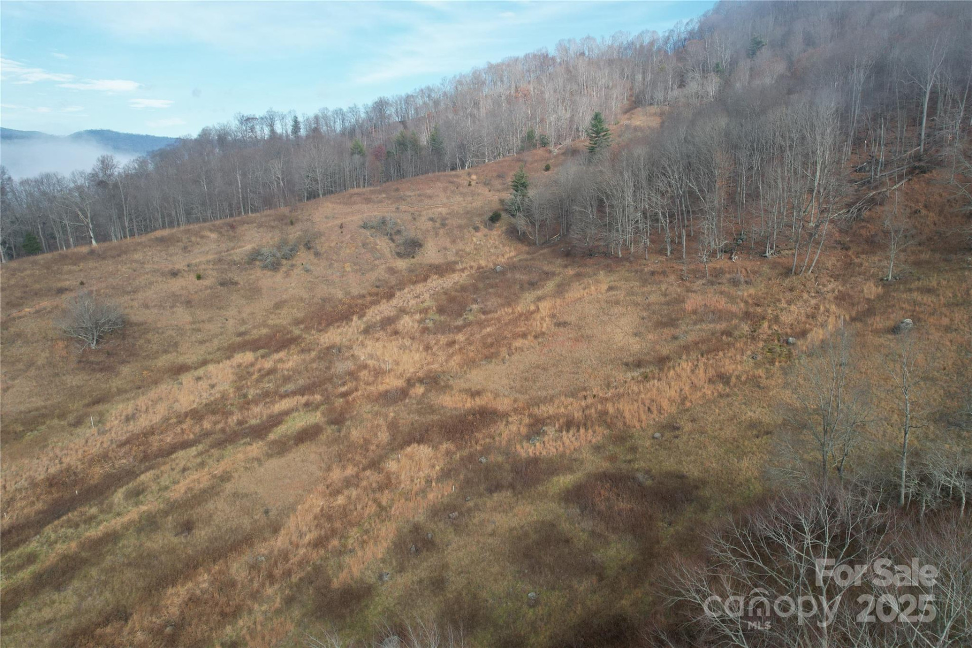 385 Fork Mountain Road - Photo 3