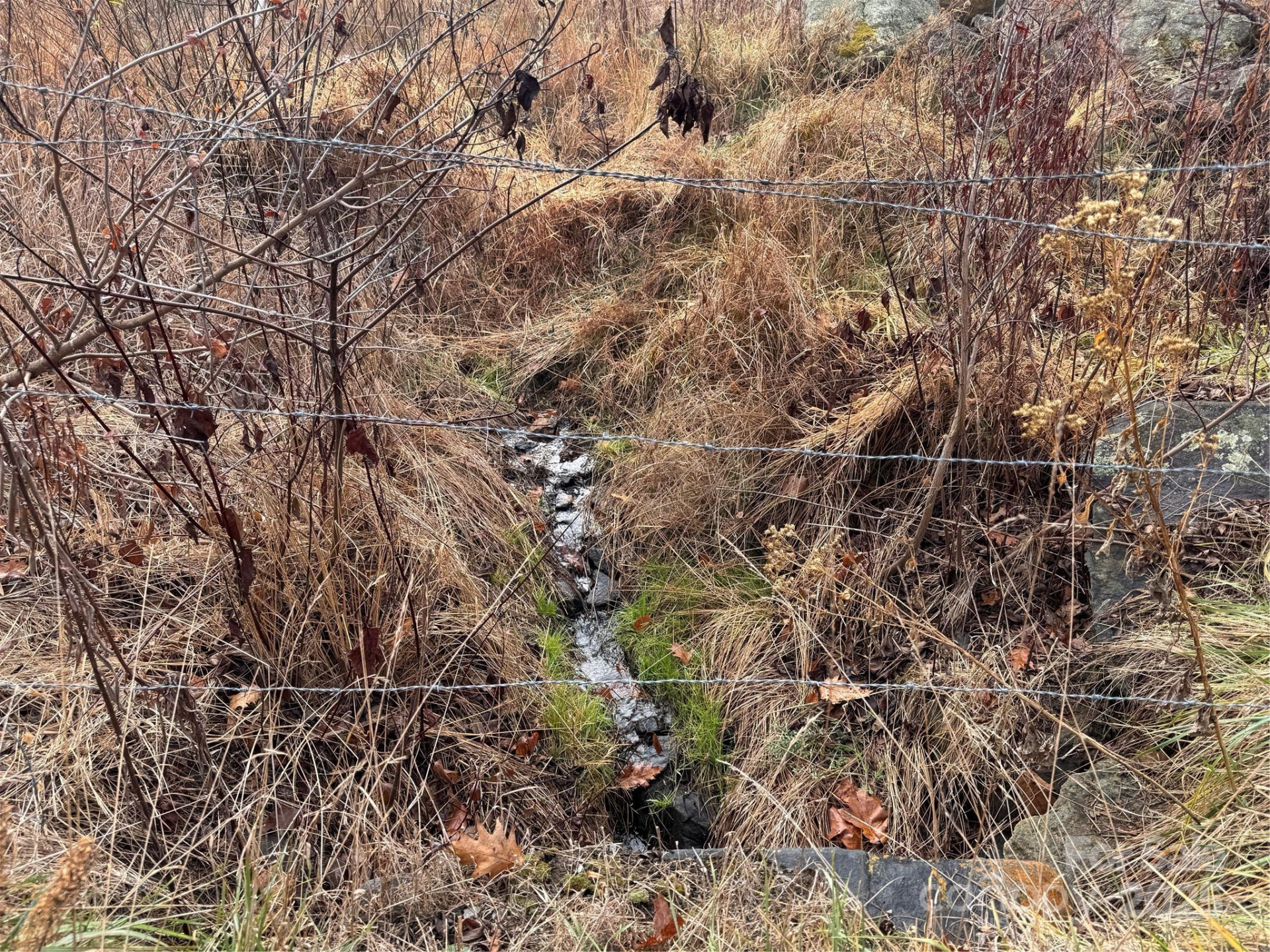 385 Fork Mountain Road - Photo 21