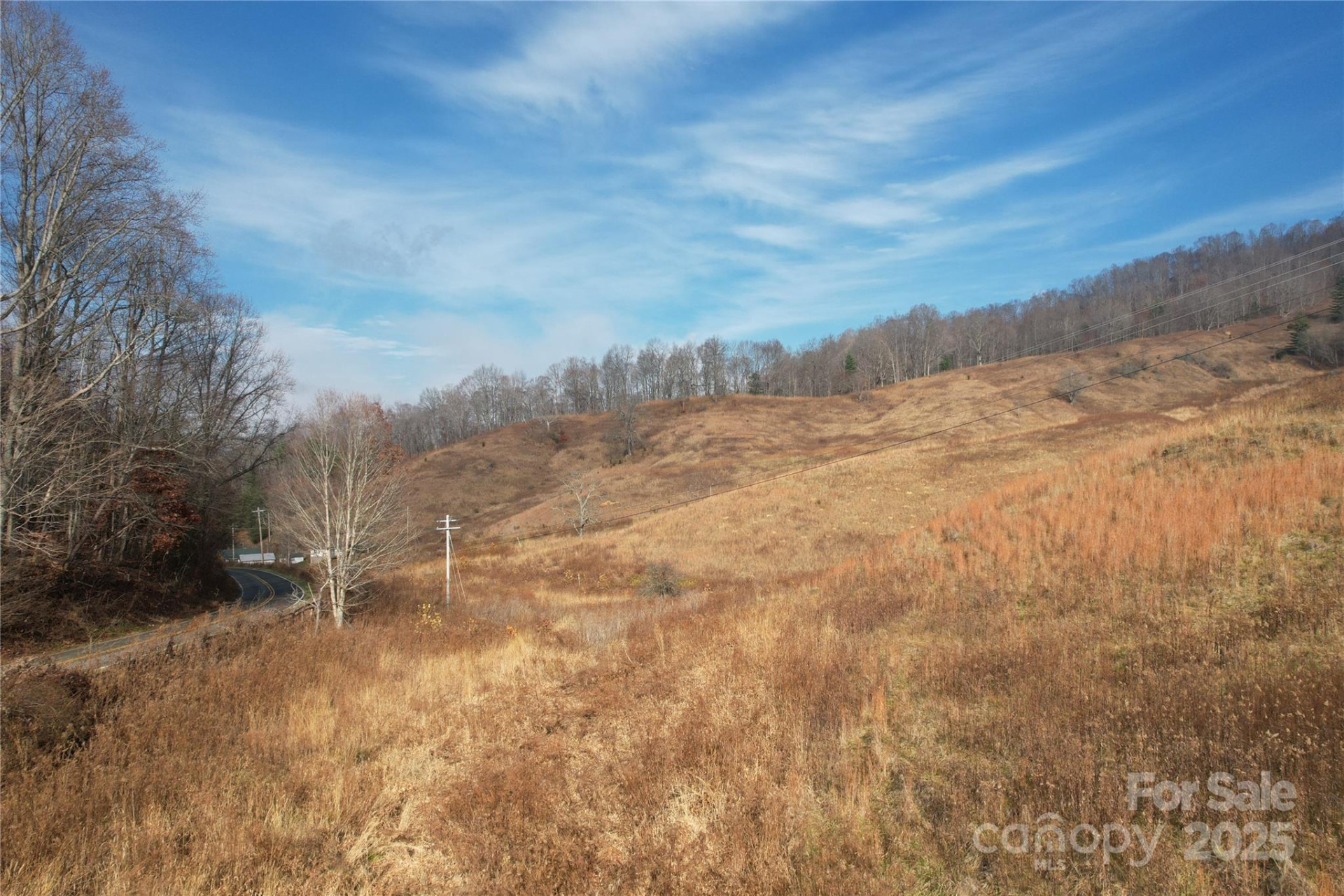 385 Fork Mountain Road - Photo 4