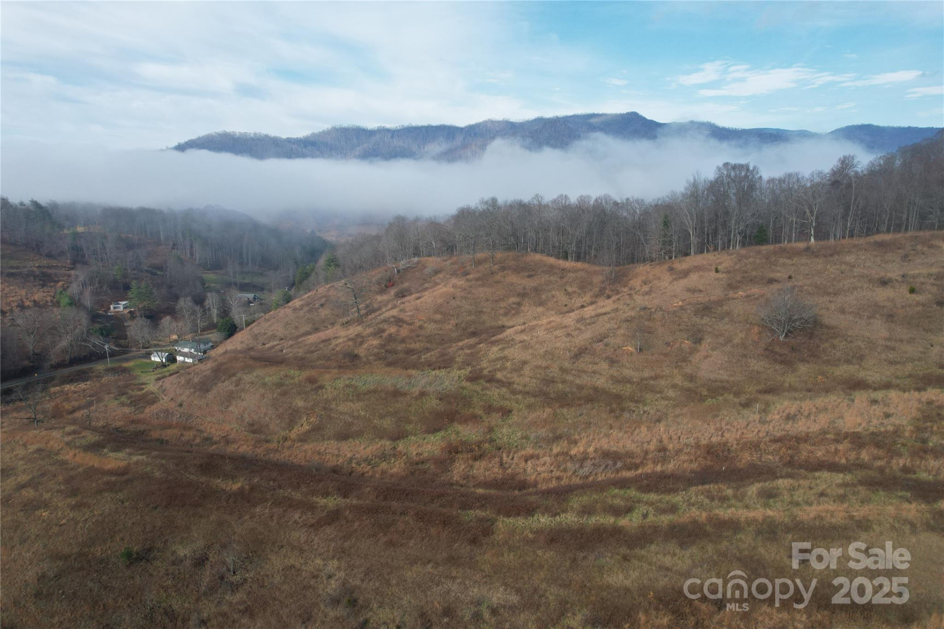 385 Fork Mountain Road - Photo 5