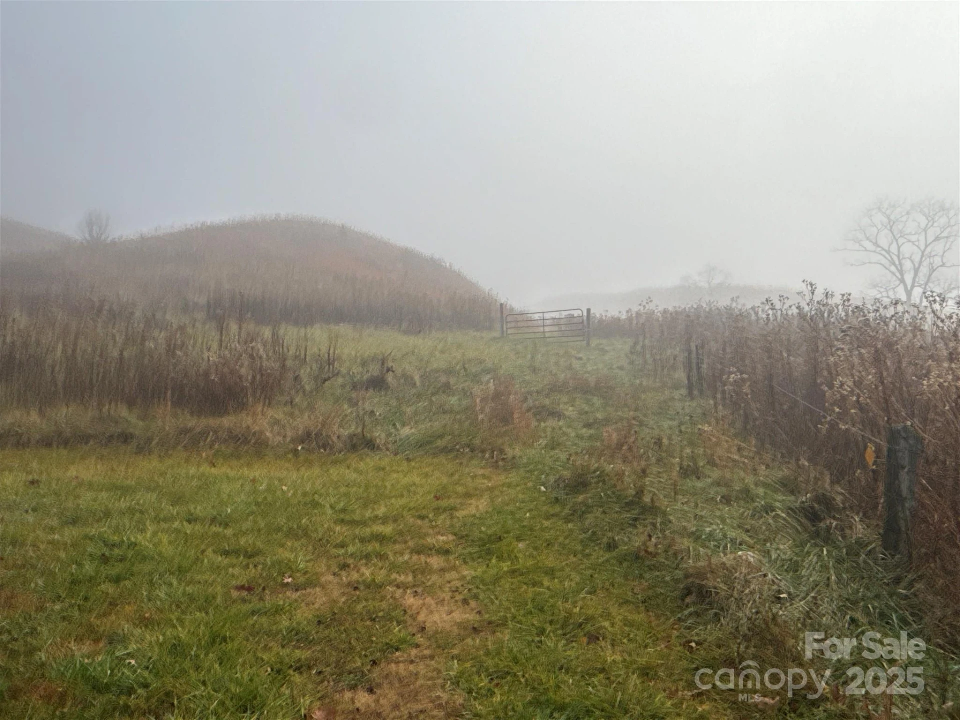 385 Fork Mountain Road - Photo 6