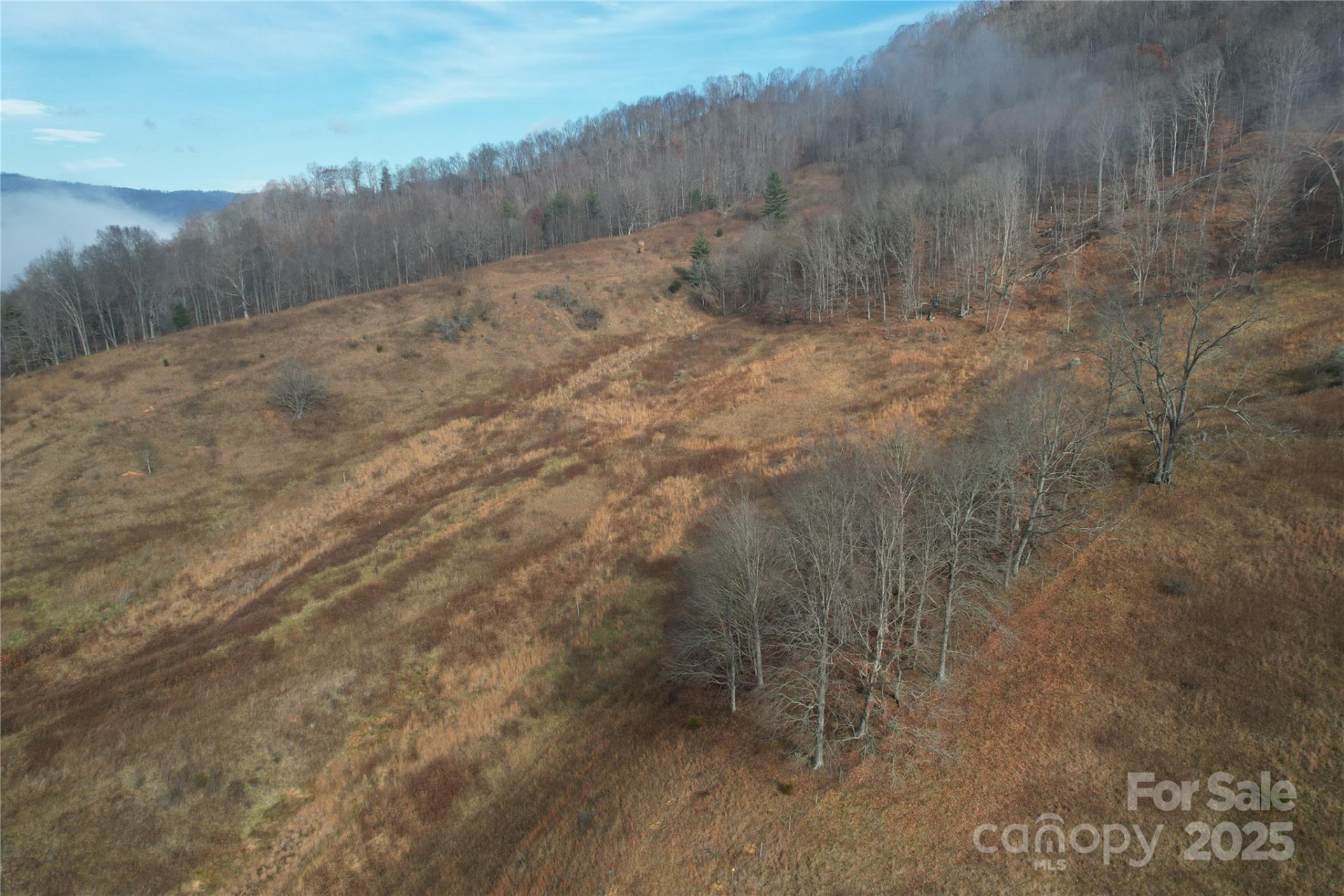 385 Fork Mountain Road - Photo 10
