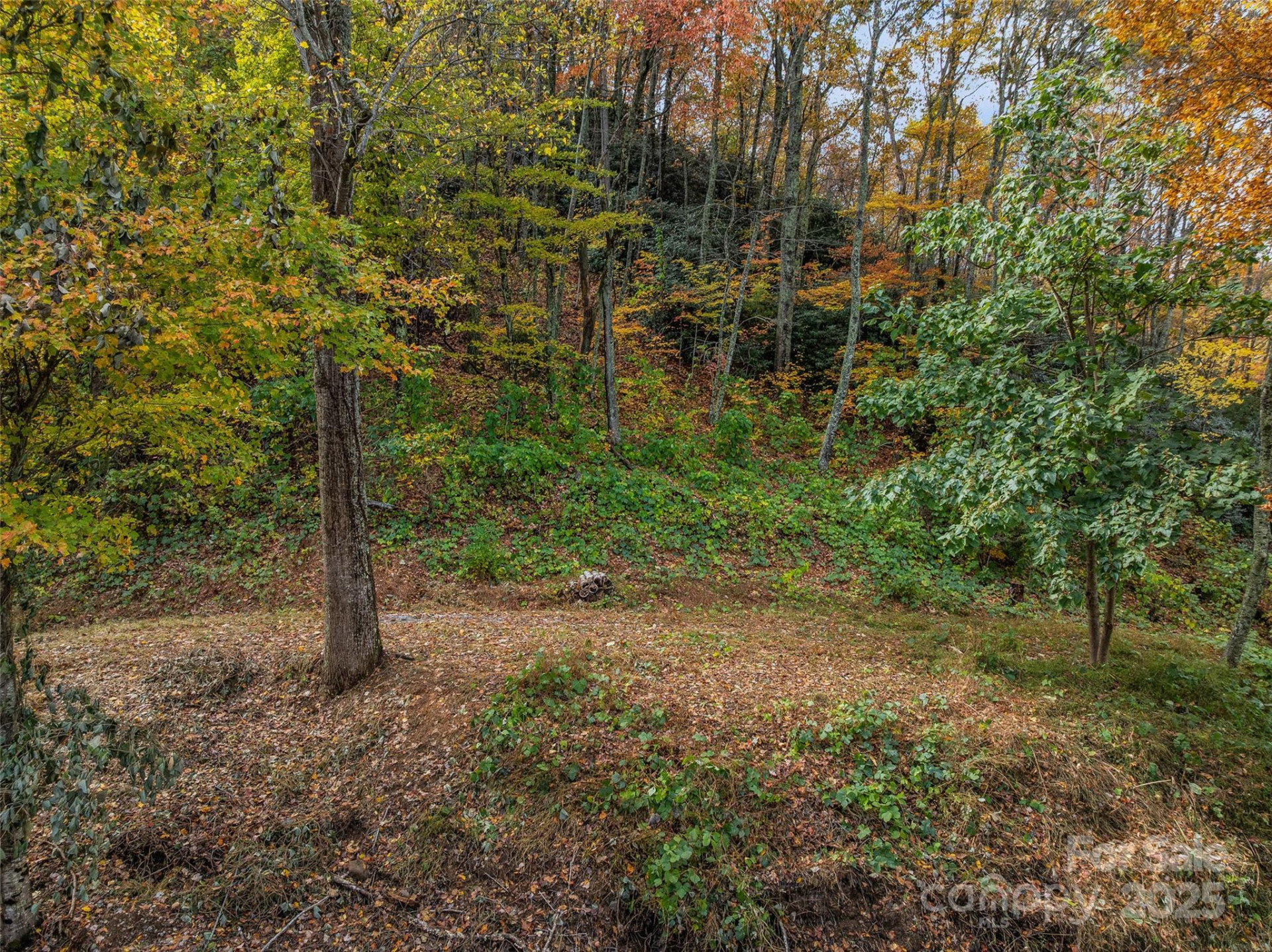 45 Flora Rose Trail - Photo 2