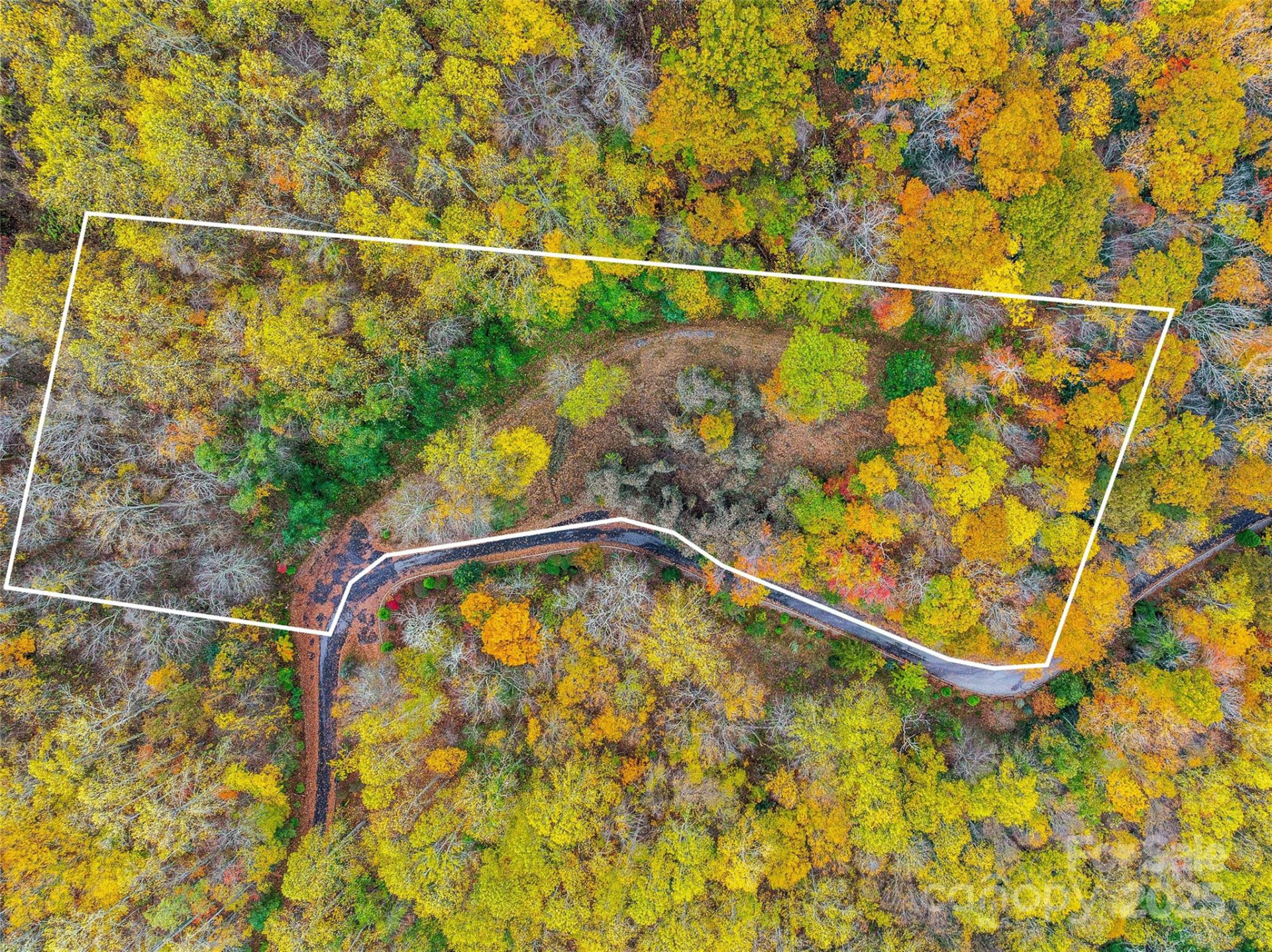 45 Flora Rose Trail - Photo 11