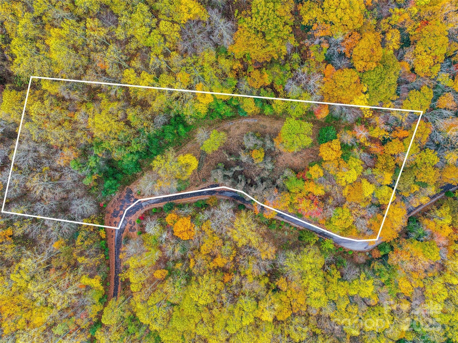 45 Flora Rose Trail - Photo 11