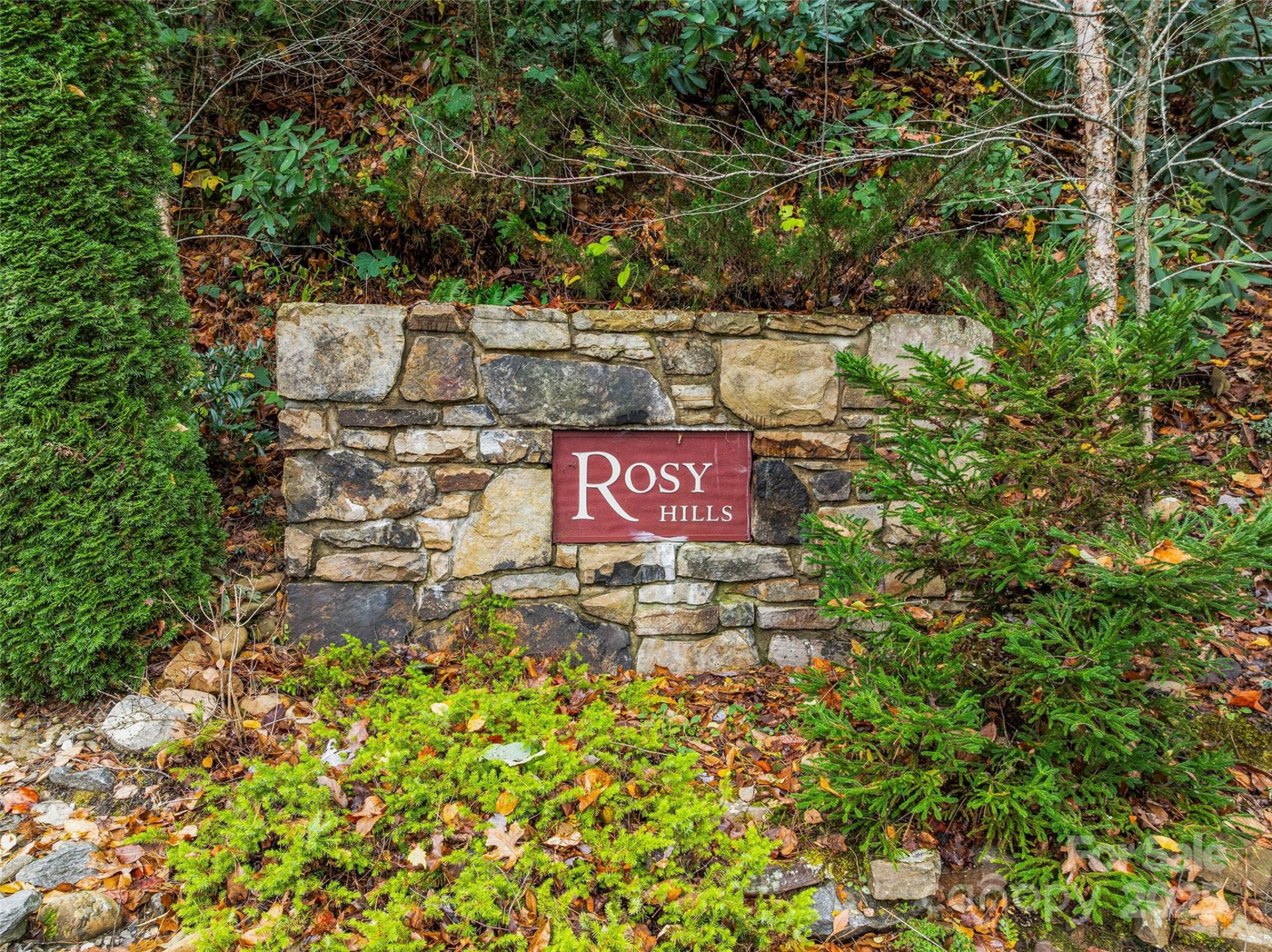 45 Flora Rose Trail - Photo 12