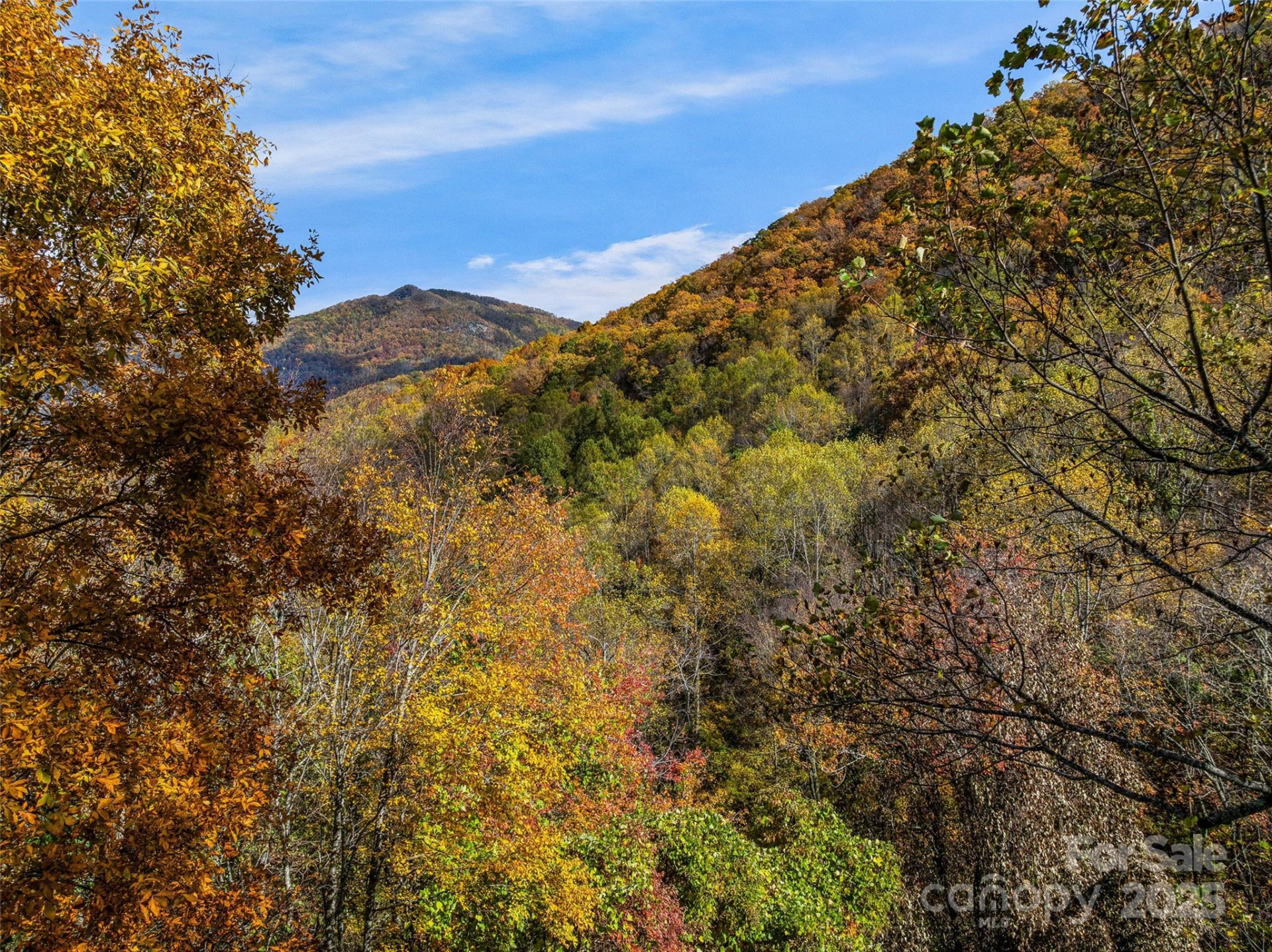 45 Flora Rose Trail - Photo 14