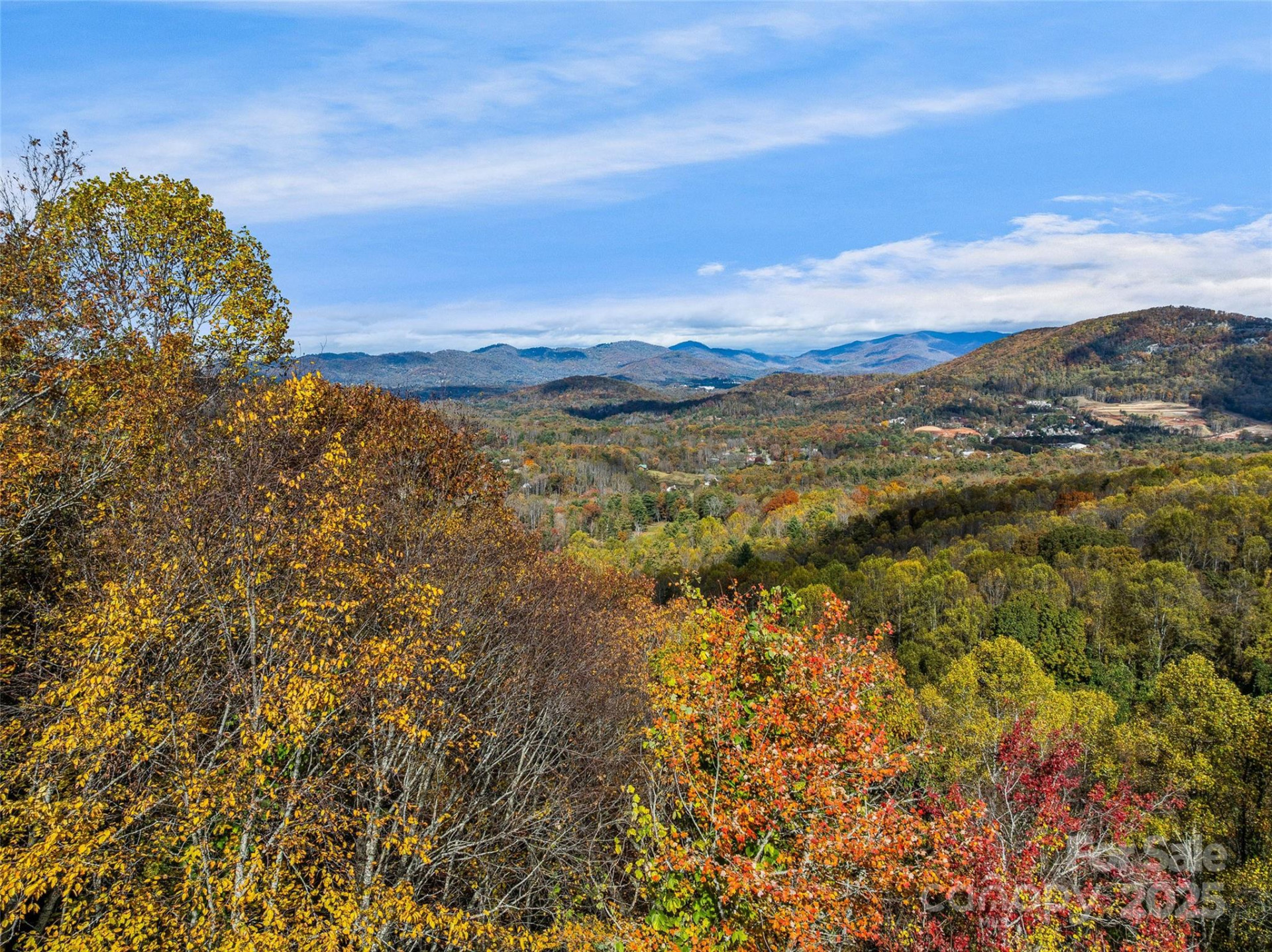 45 Flora Rose Trail - Photo 15