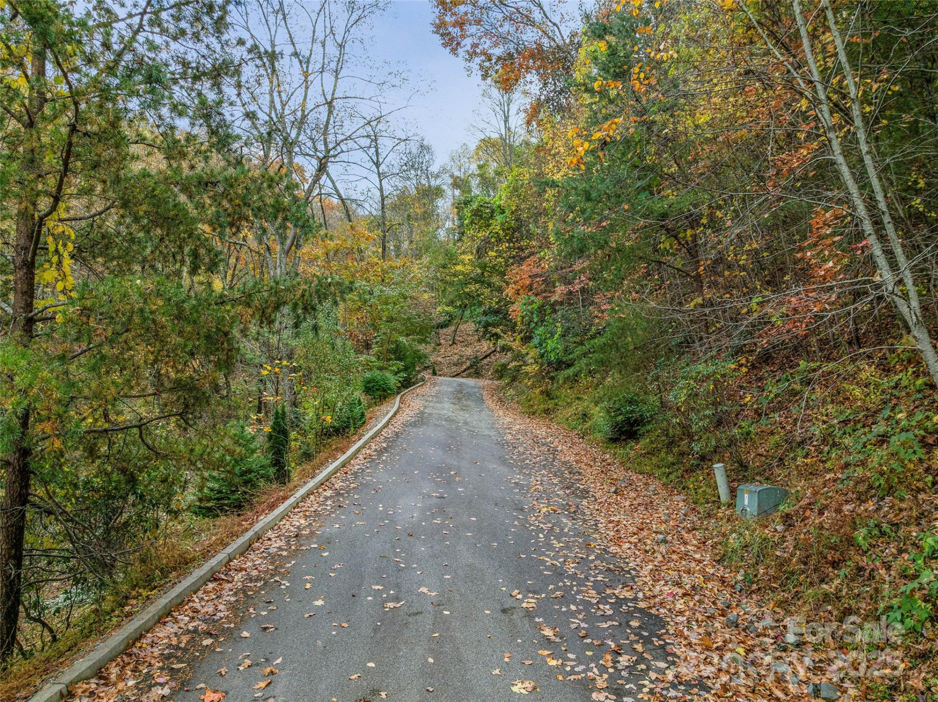 45 Flora Rose Trail - Photo 16