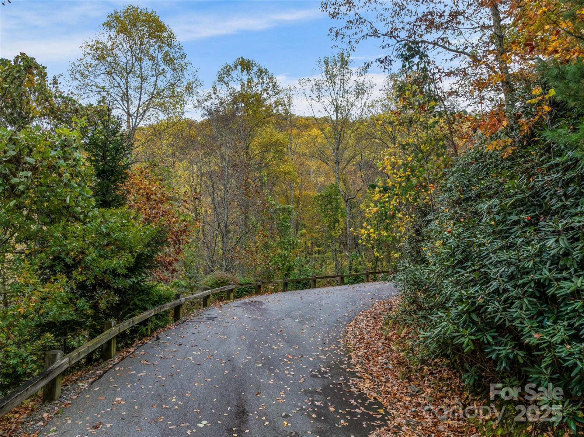 45 Flora Rose Trail - Photo 17