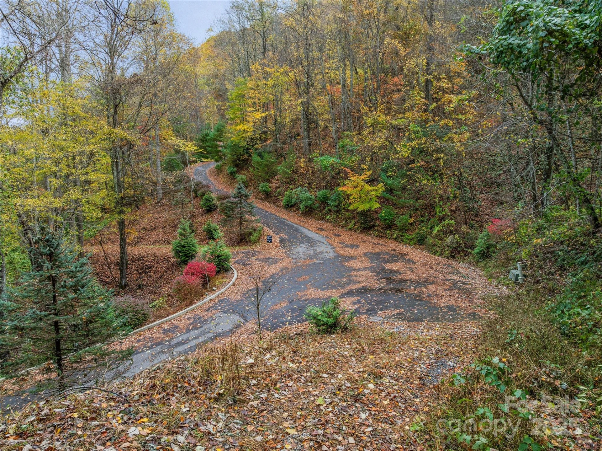 45 Flora Rose Trail - Photo 18