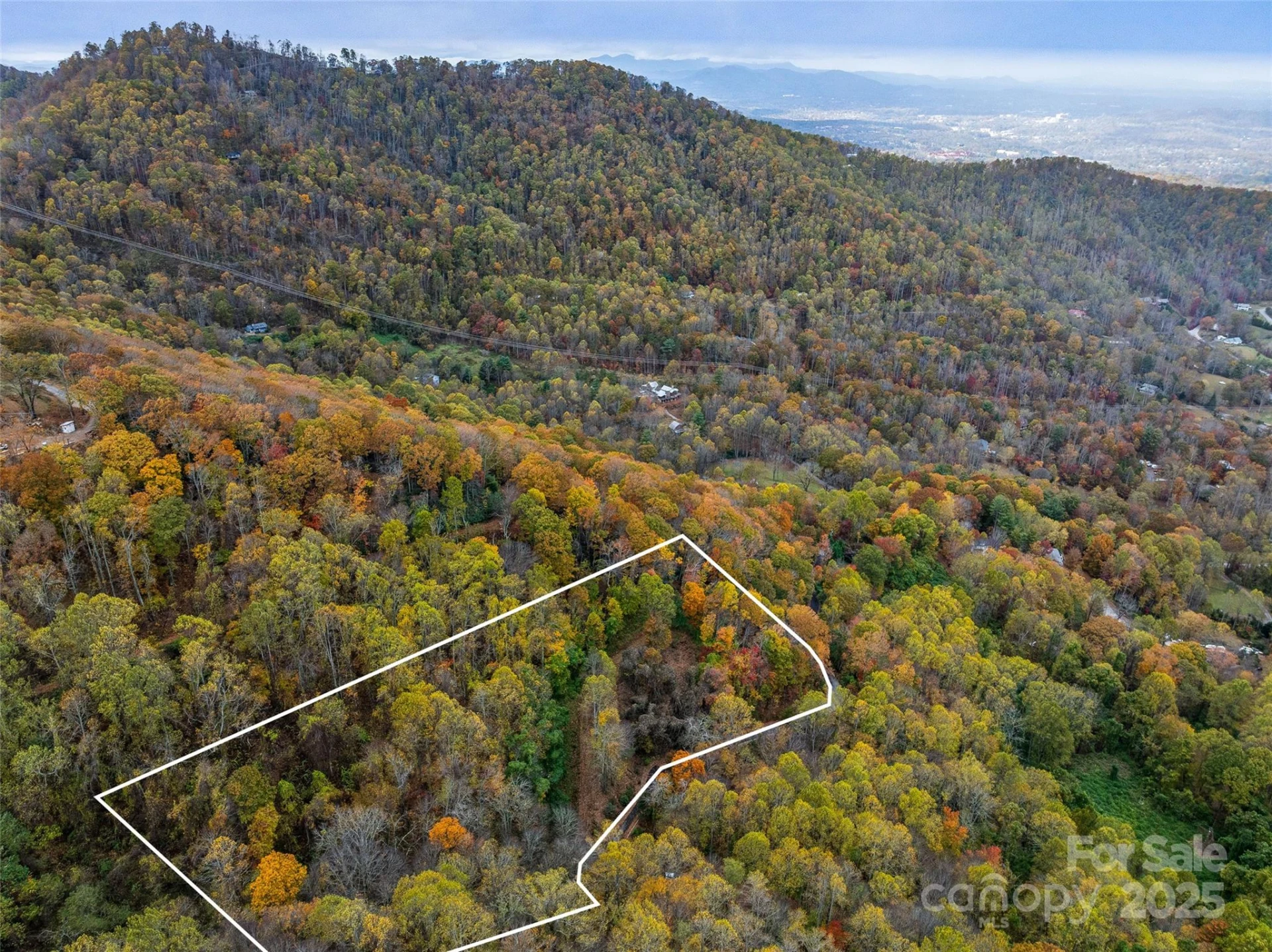 45 Flora Rose Trail - Photo 19