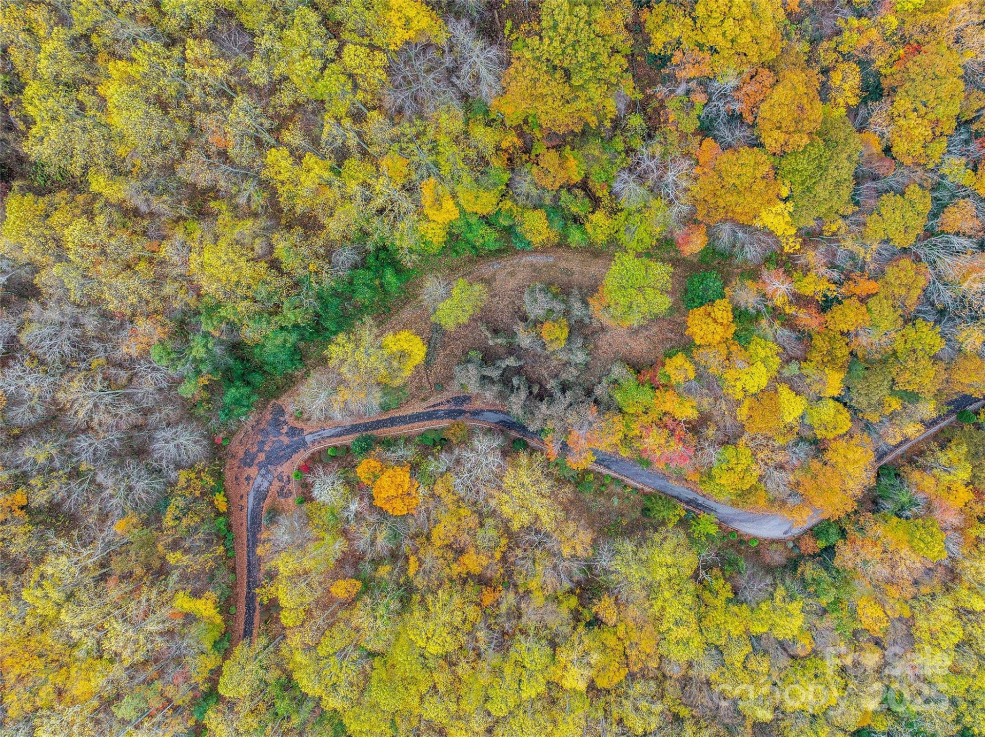 45 Flora Rose Trail - Photo 20