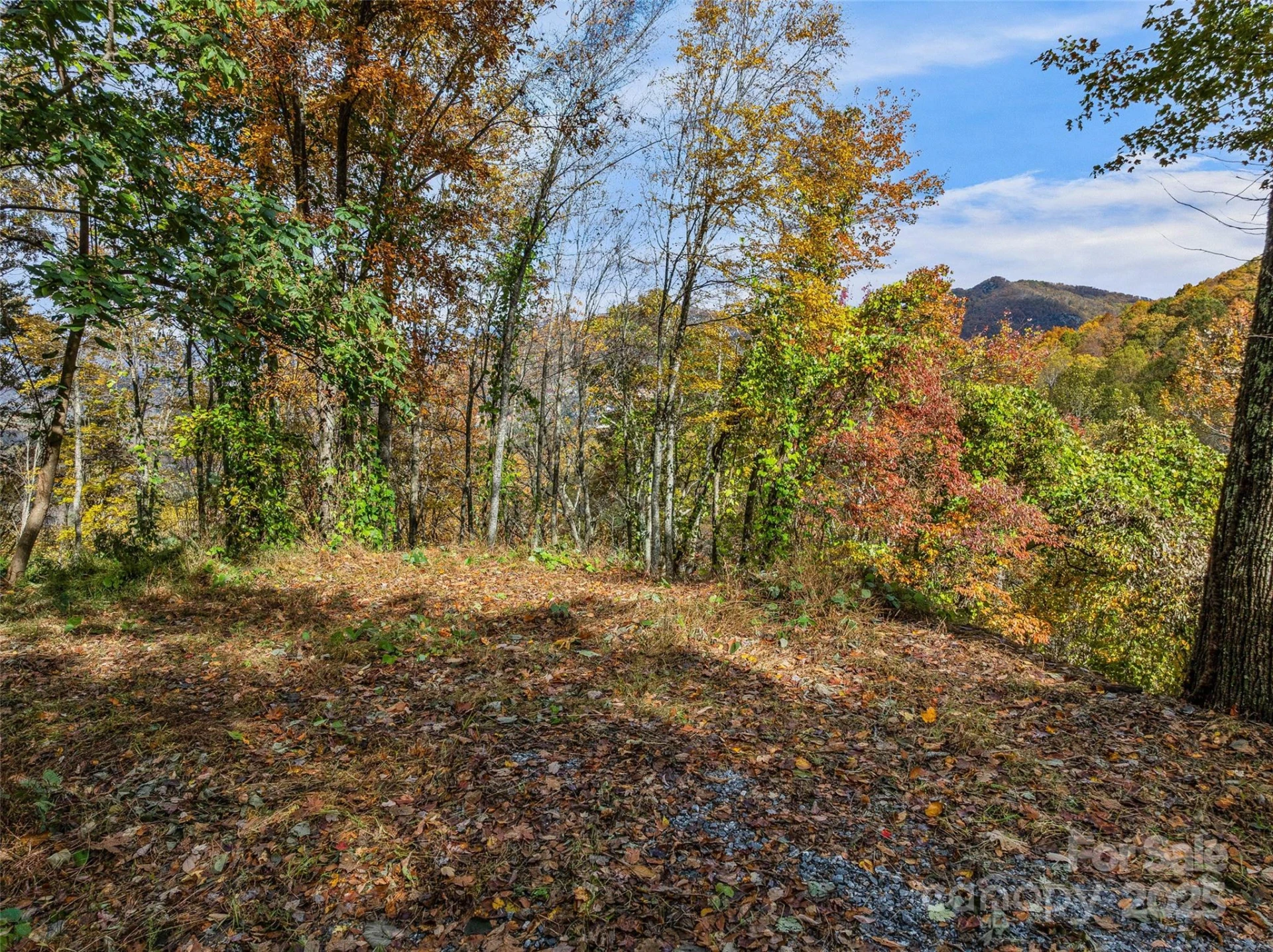 45 Flora Rose Trail - Photo 3