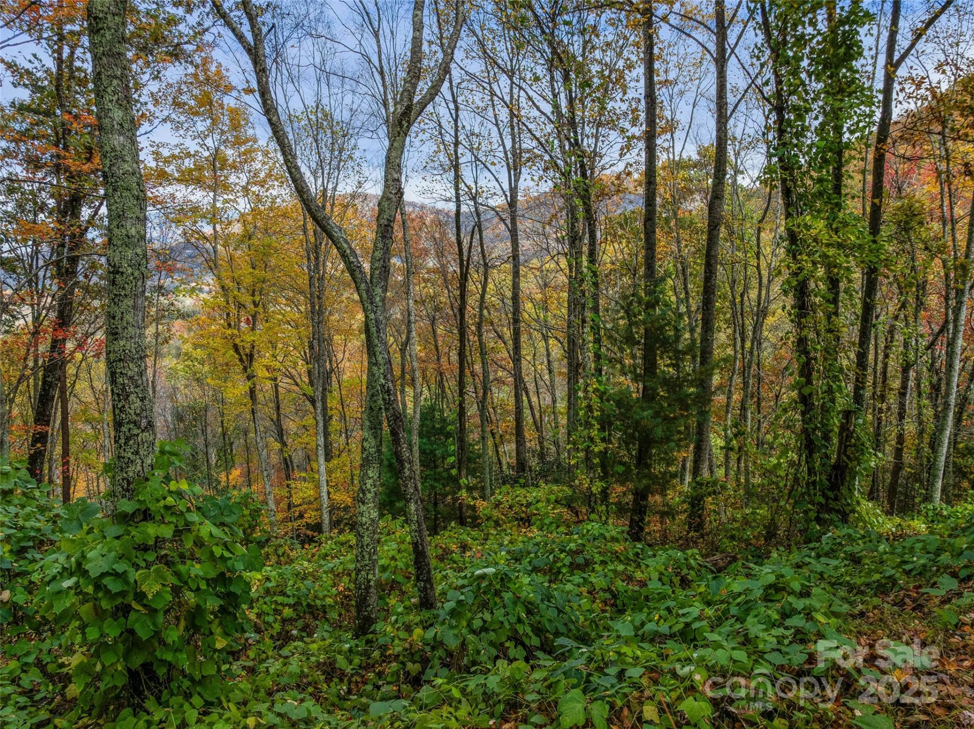 45 Flora Rose Trail - Photo 25