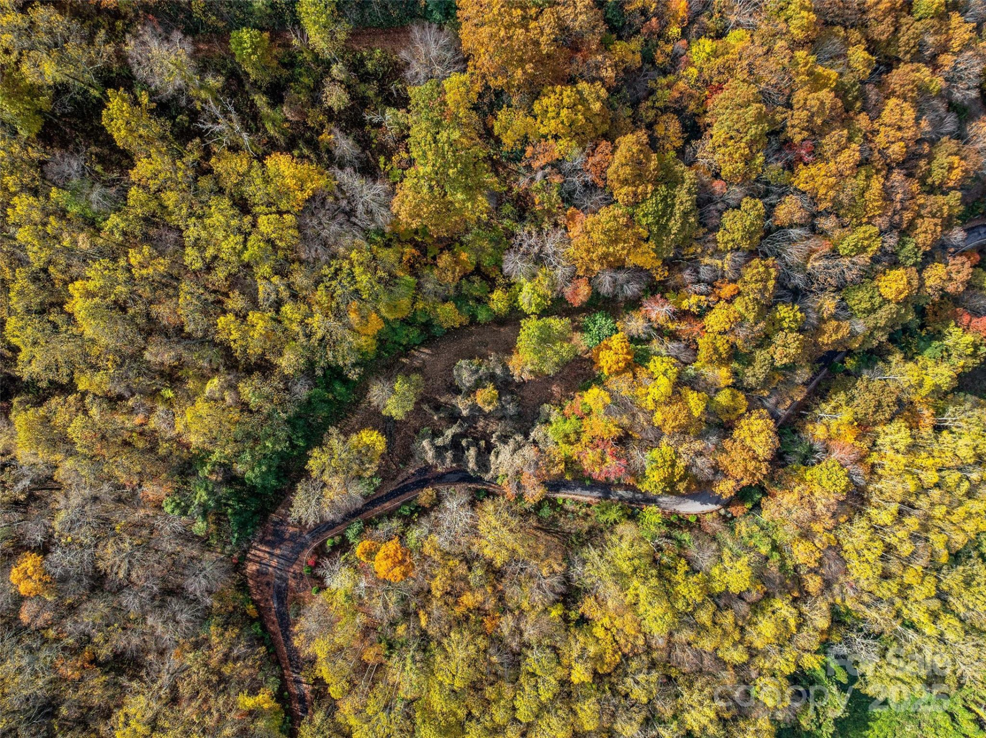 45 Flora Rose Trail - Photo 27