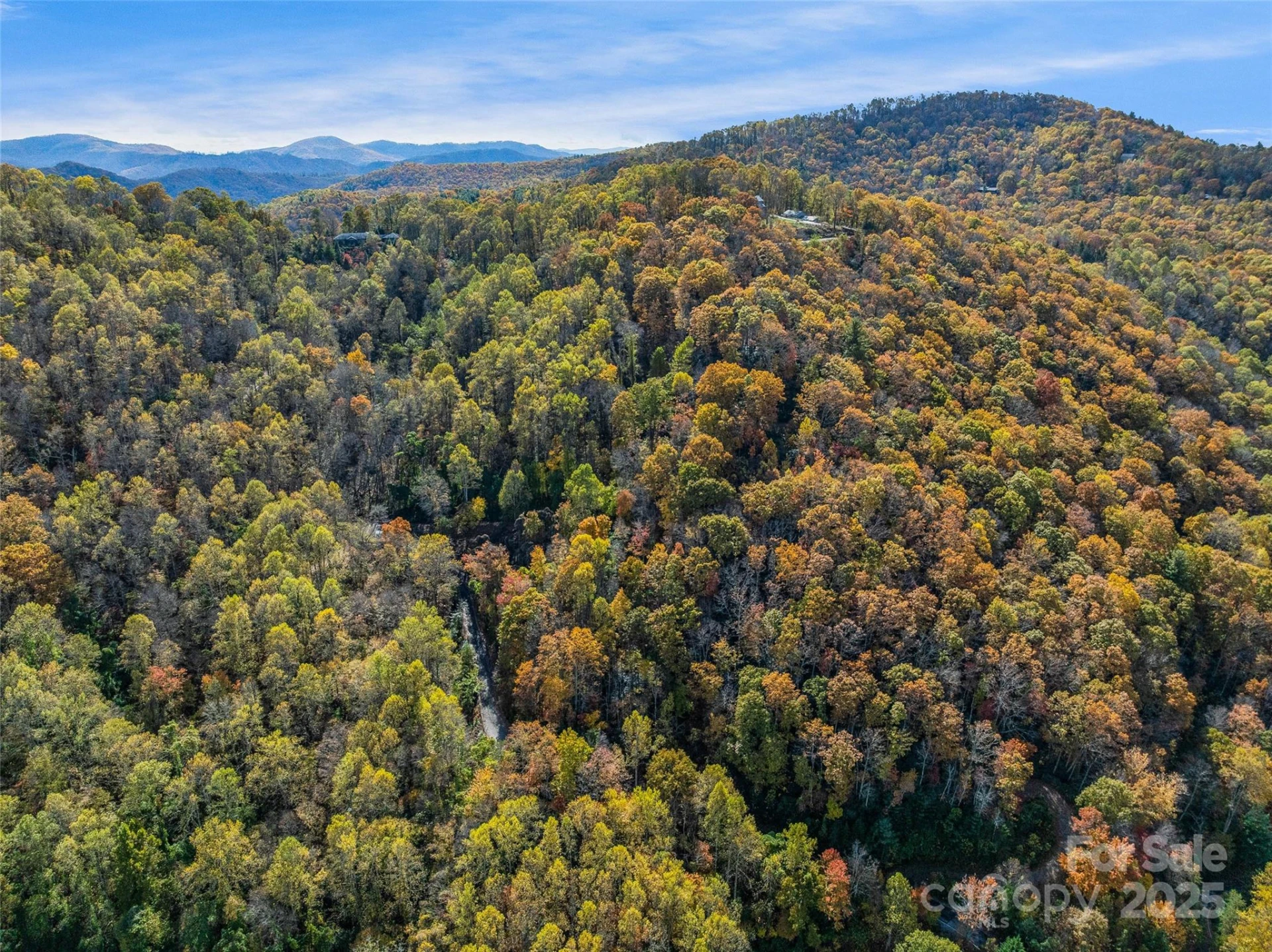 45 Flora Rose Trail - Photo 28