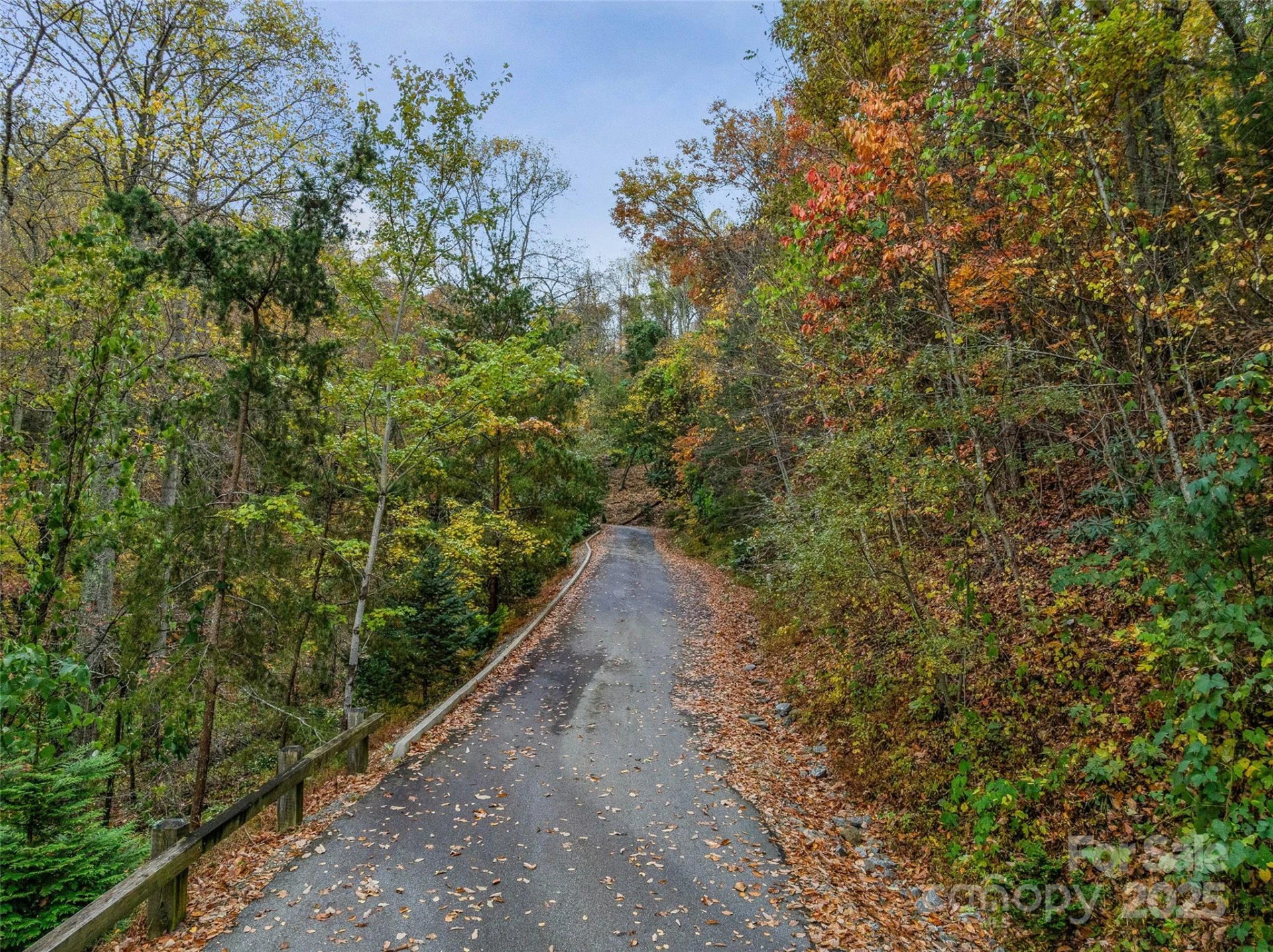 45 Flora Rose Trail - Photo 29