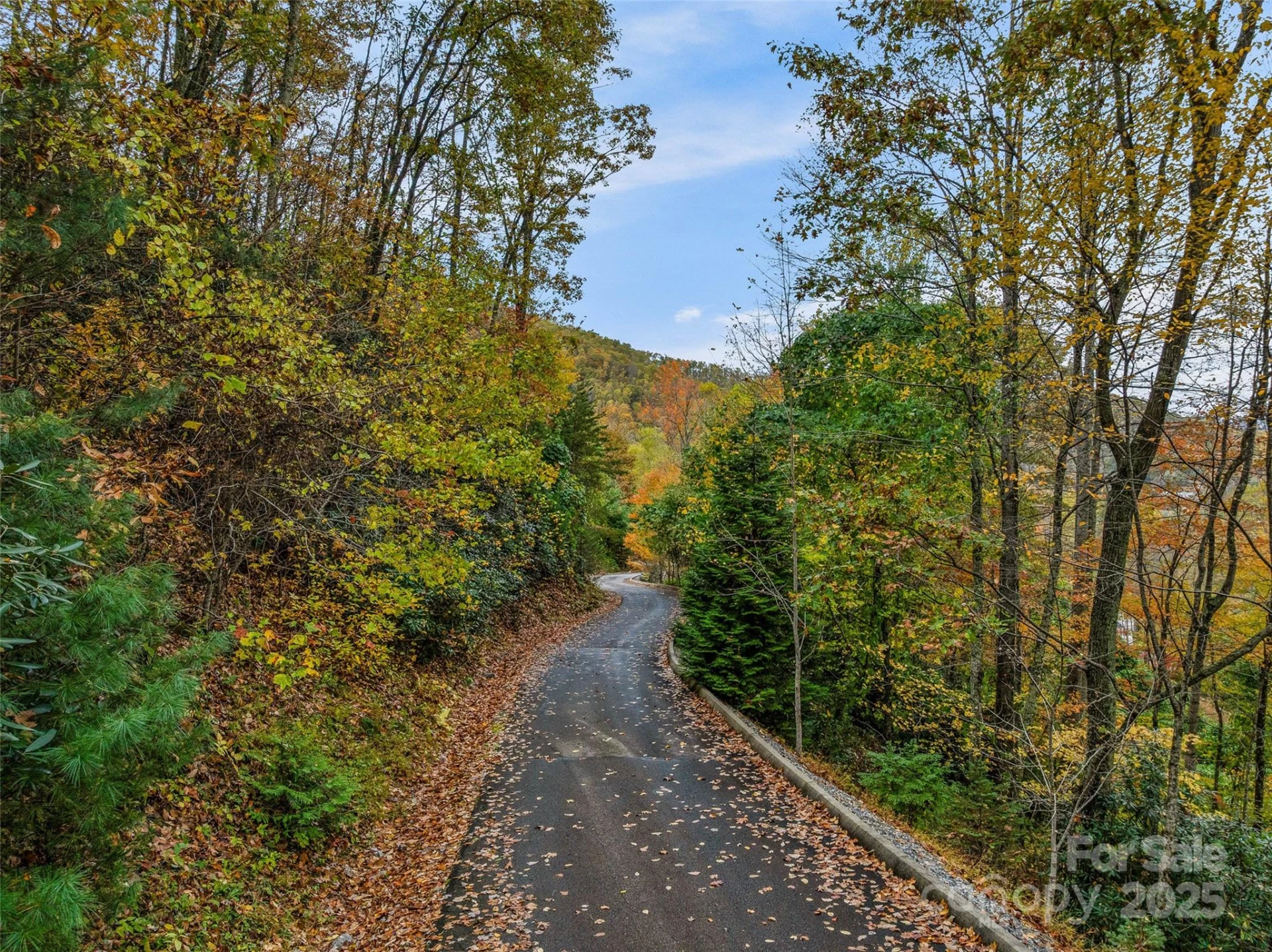 45 Flora Rose Trail - Photo 30