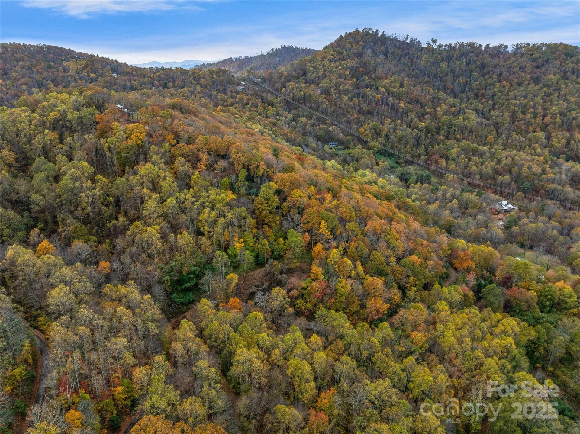 45 Flora Rose Trail - Photo 31
