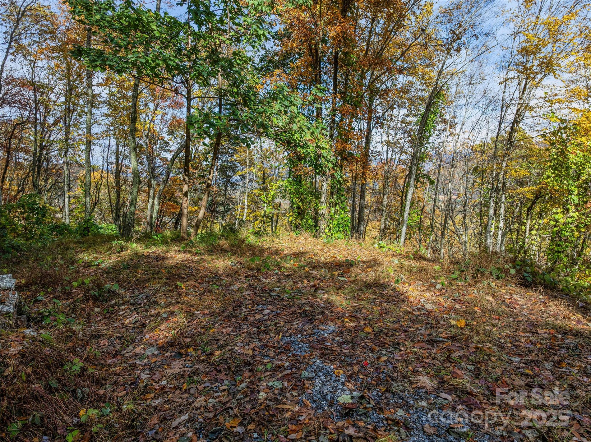 45 Flora Rose Trail - Photo 5