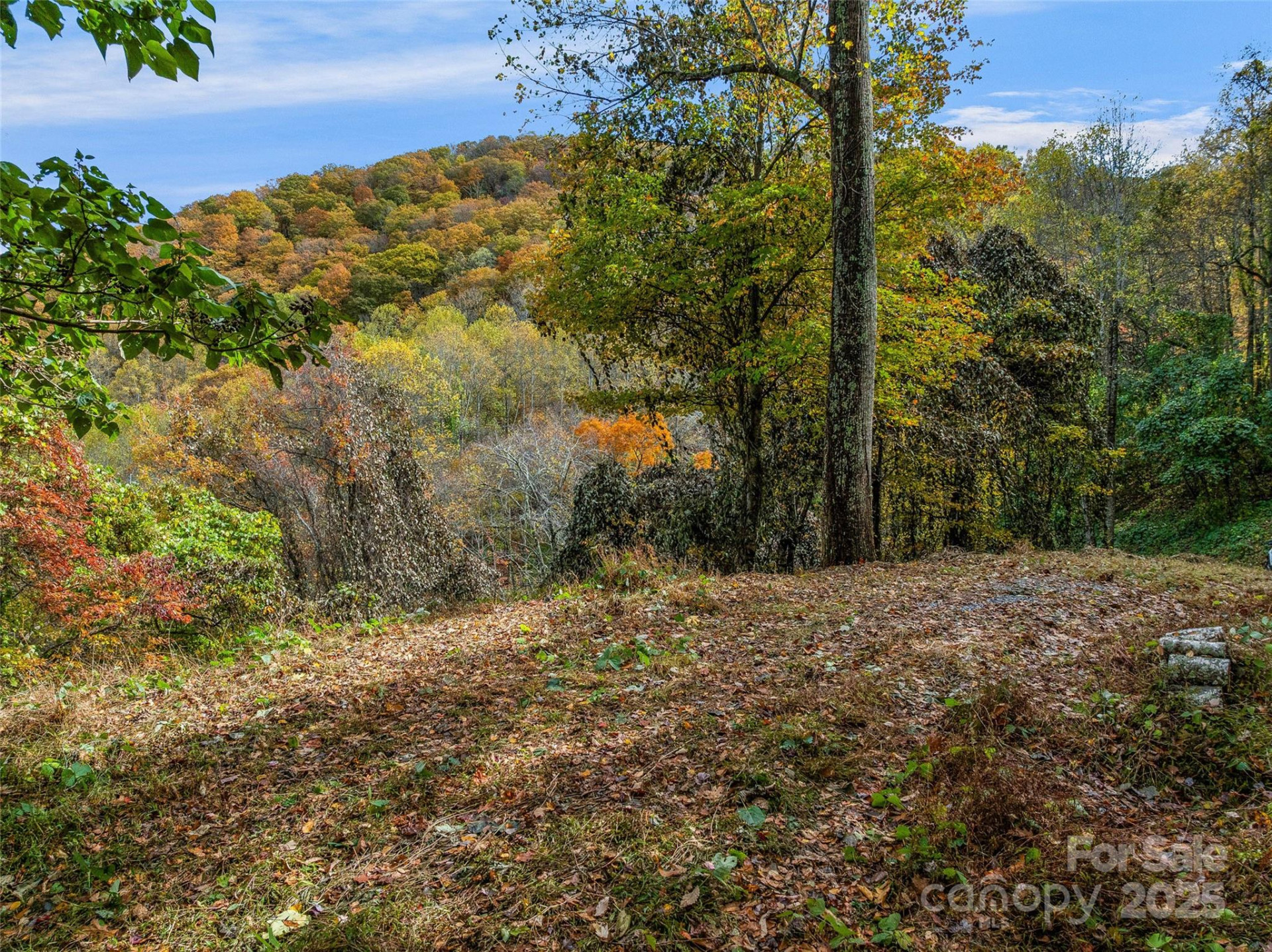 45 Flora Rose Trail - Photo 6