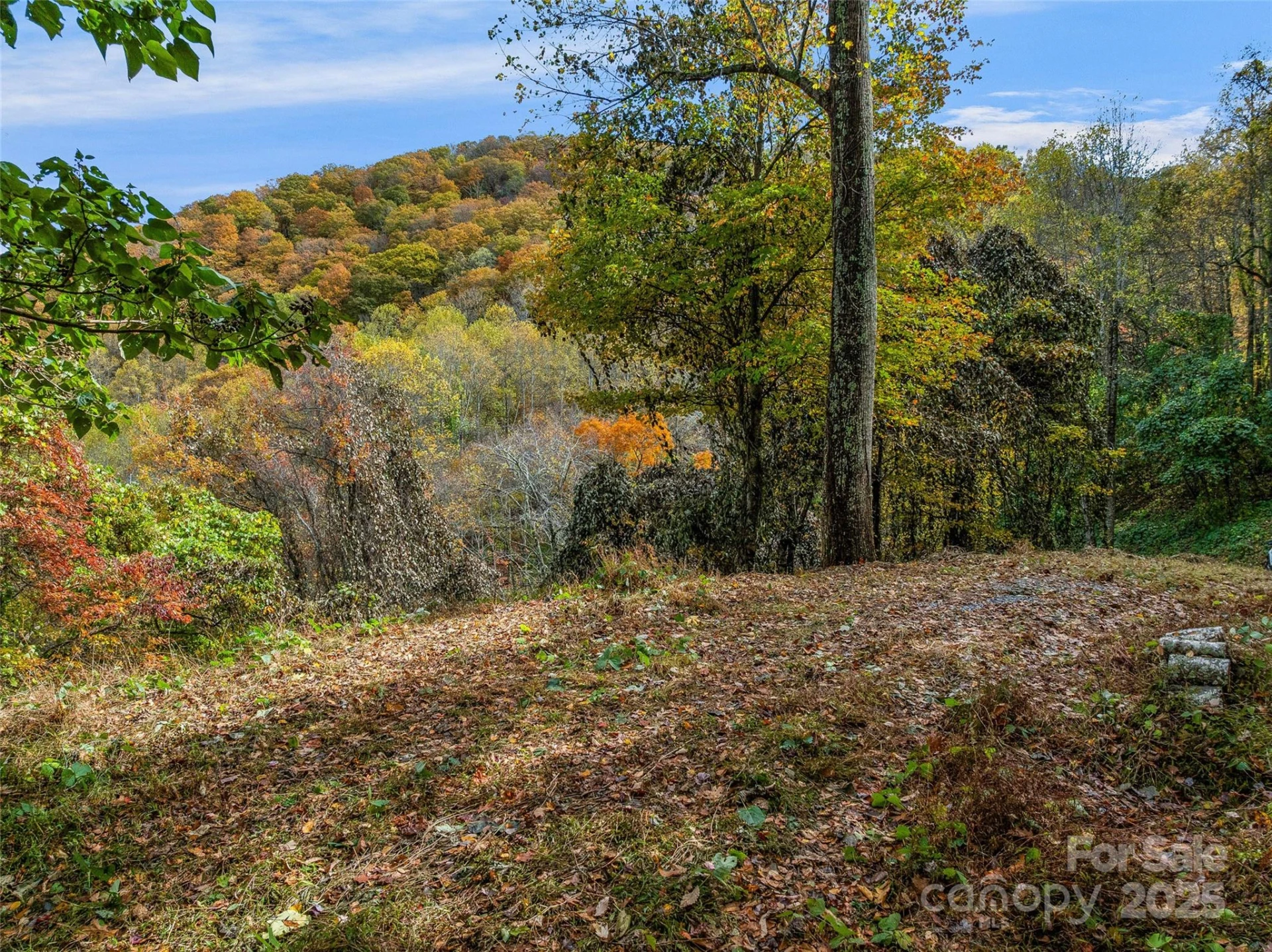 45 Flora Rose Trail - Photo 6