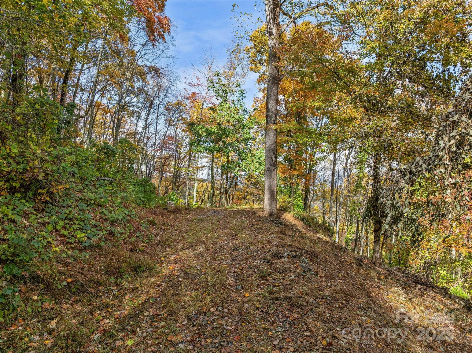 45 Flora Rose Trail - Photo 7