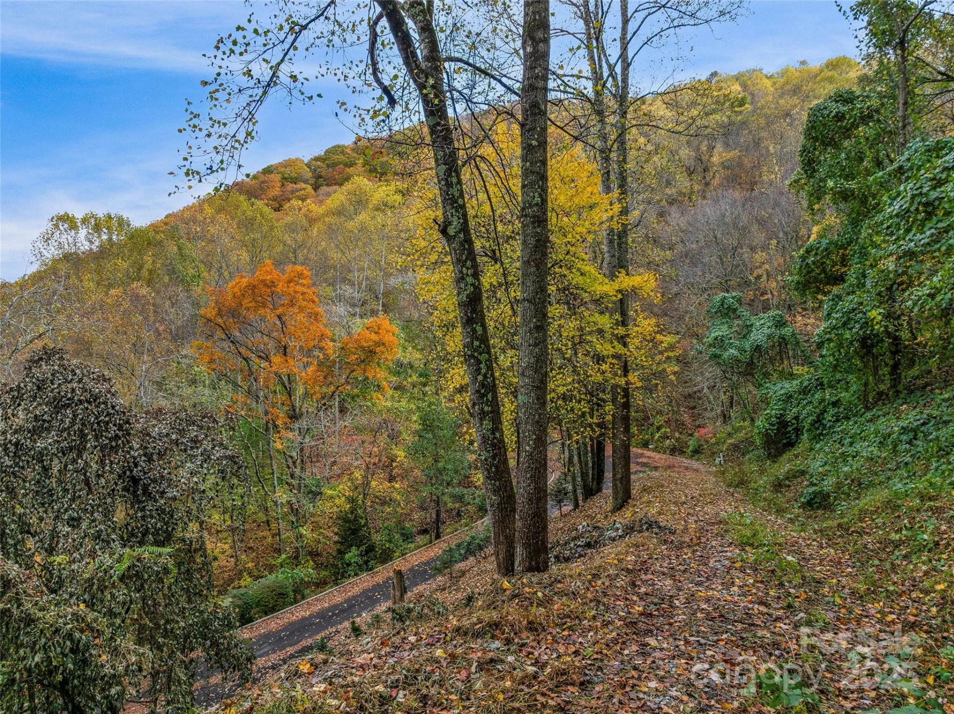 45 Flora Rose Trail - Photo 8