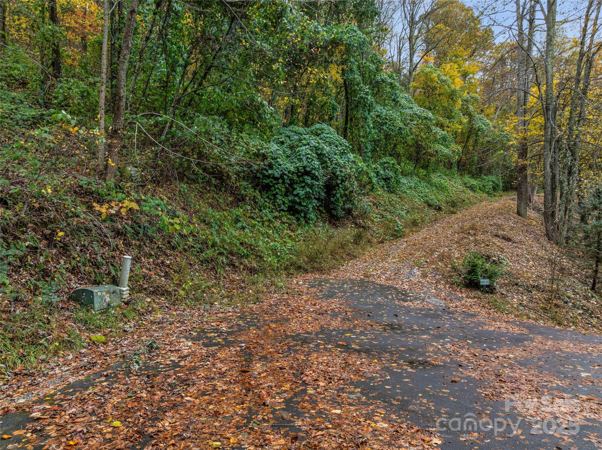 45 Flora Rose Trail - Photo 9