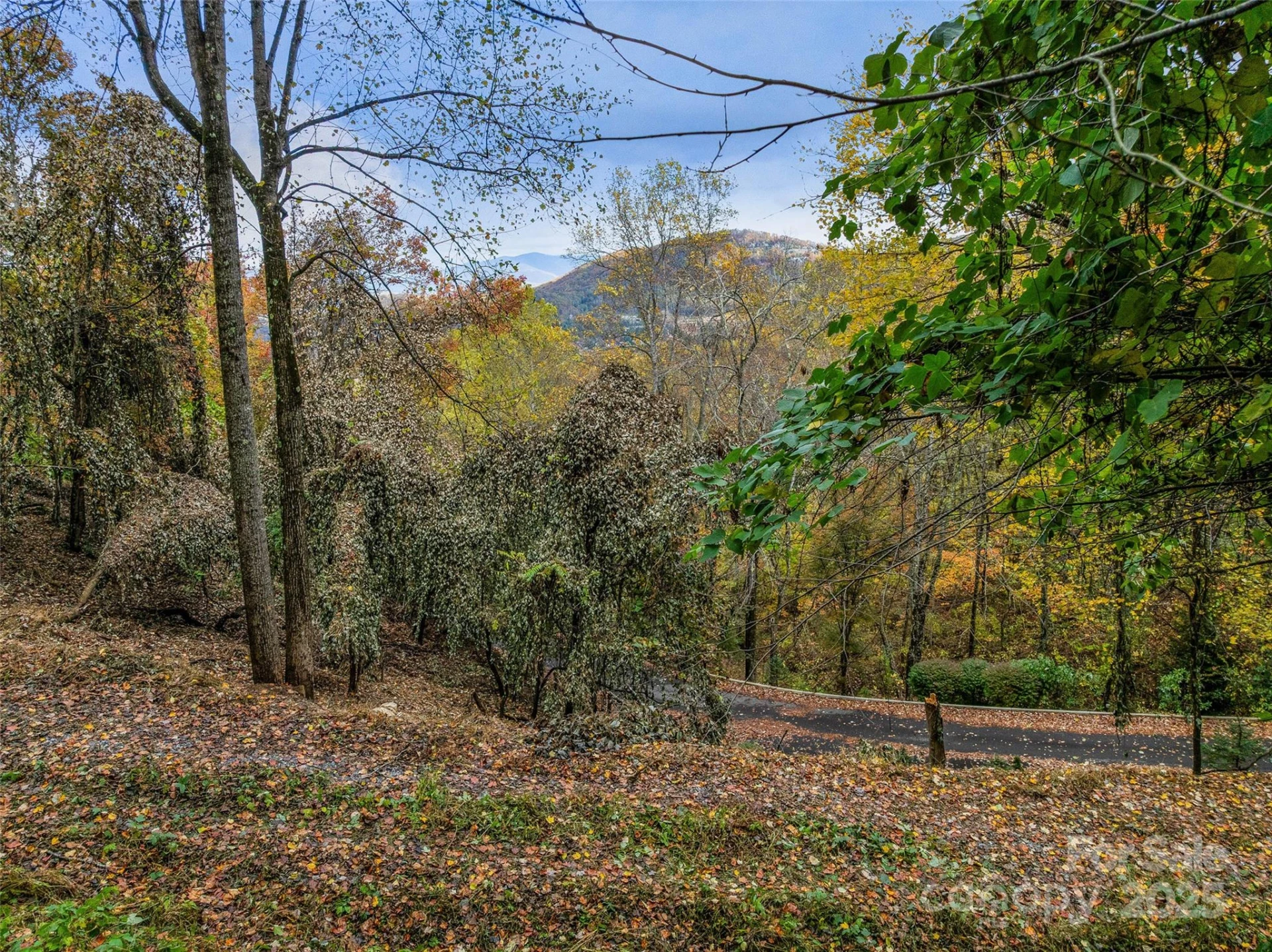 45 Flora Rose Trail - Photo 10