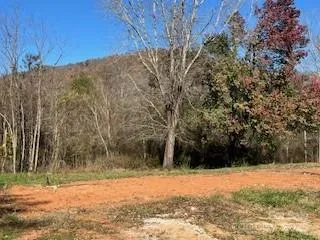 418 owl Hollow Road, Marion, NC, 28752