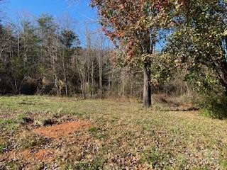 418 owl Hollow Road - Photo 2