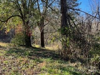 418 owl Hollow Road - Photo 4