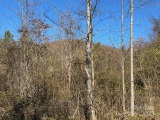 418 owl Hollow Road - Photo 5