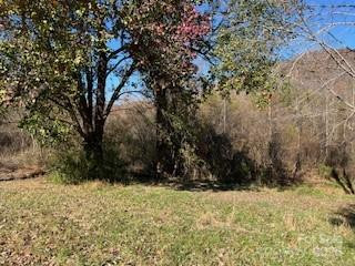 418 owl Hollow Road - Photo 7