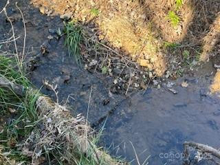 418 owl Hollow Road - Photo 8