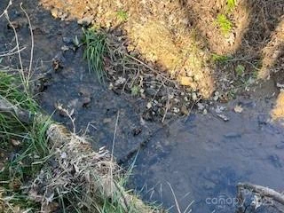 418 owl Hollow Road - Photo 8