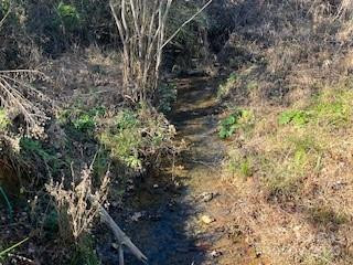 418 owl Hollow Road - Photo 9