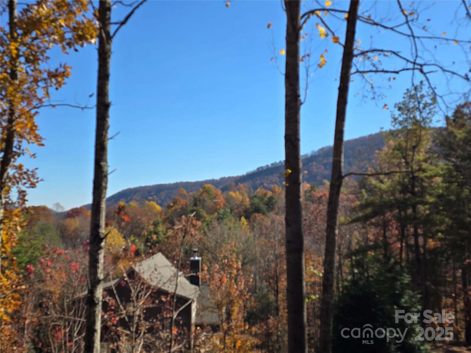 295 Feather Falls Trail #50